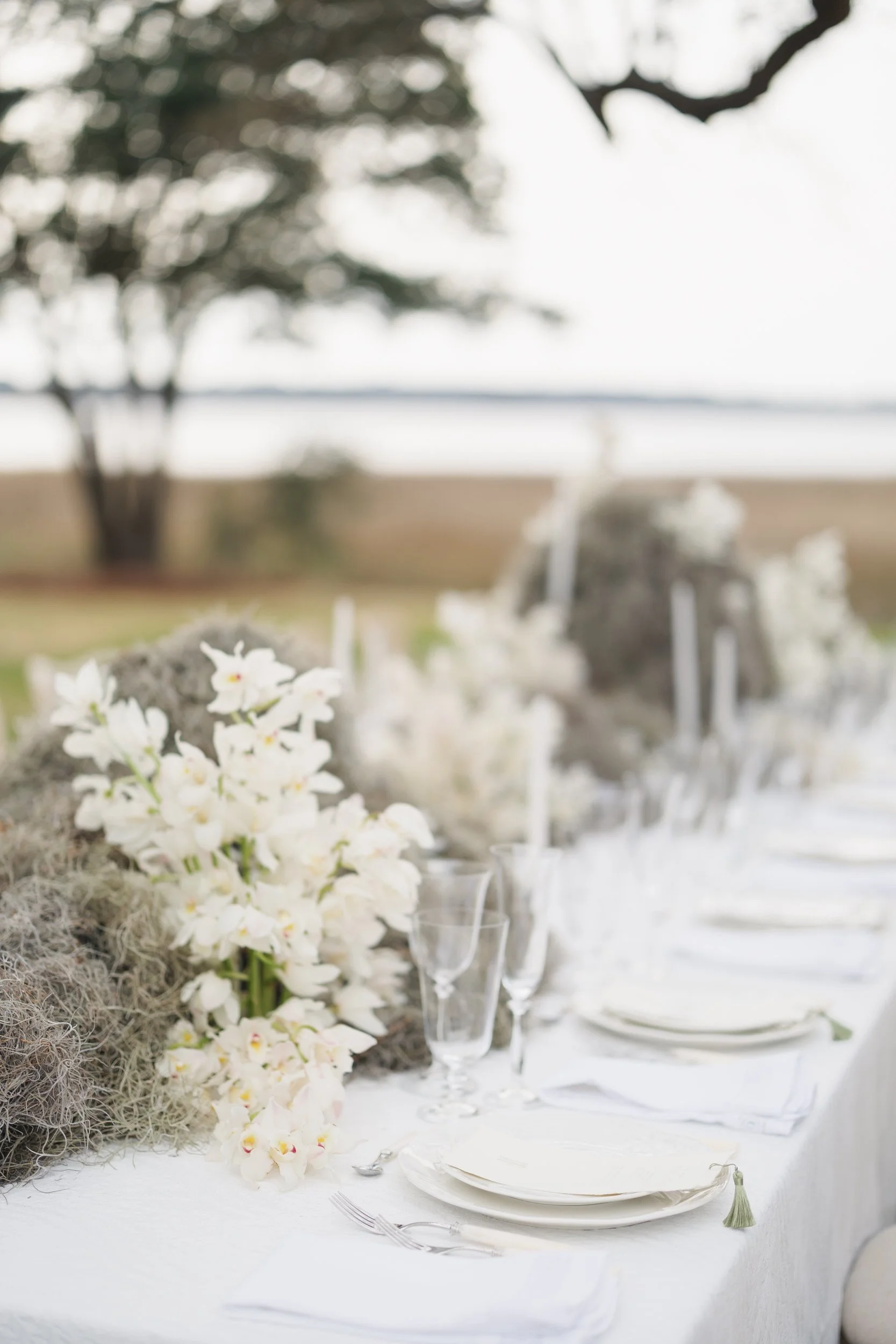 Outdoor reception dinner tables at Lowndes Grove Plantation in Charleston, SC