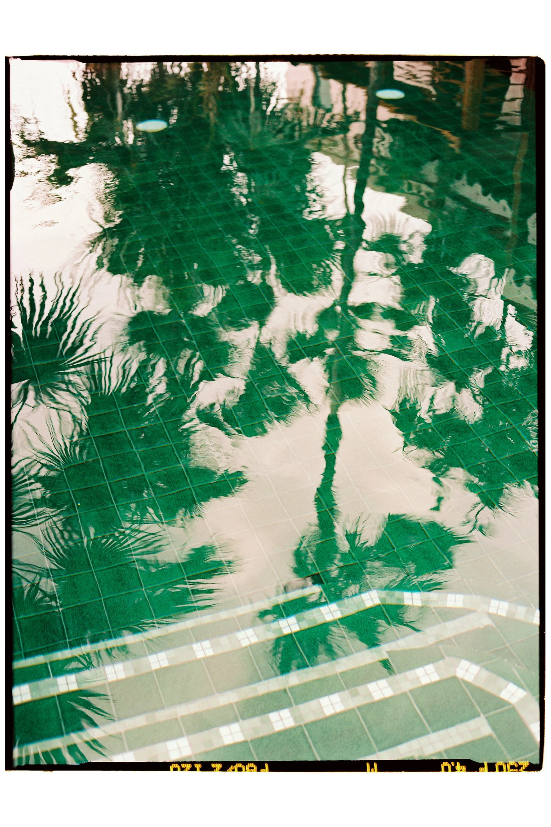 Tropical landscape surrounding The Hideaway at Hull Bay in St. Thomas.