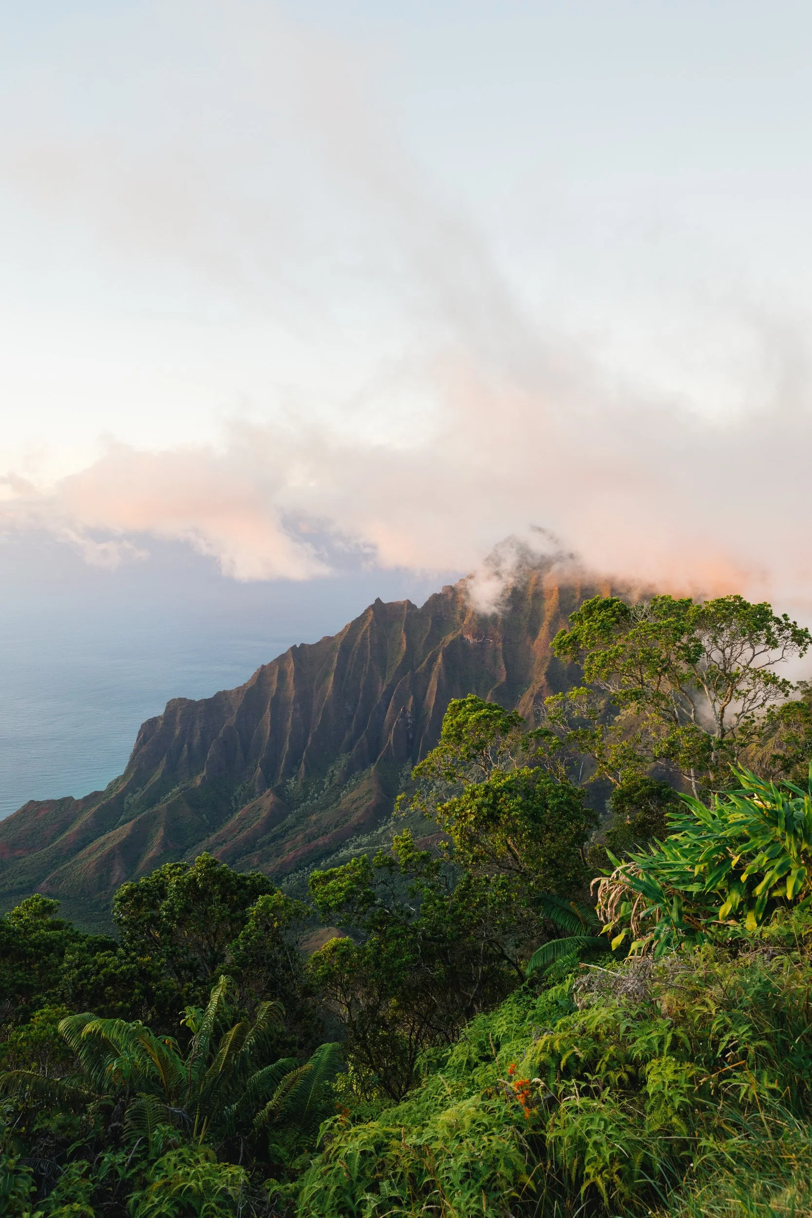 Natural landscape of Oahu beach at sunrise
