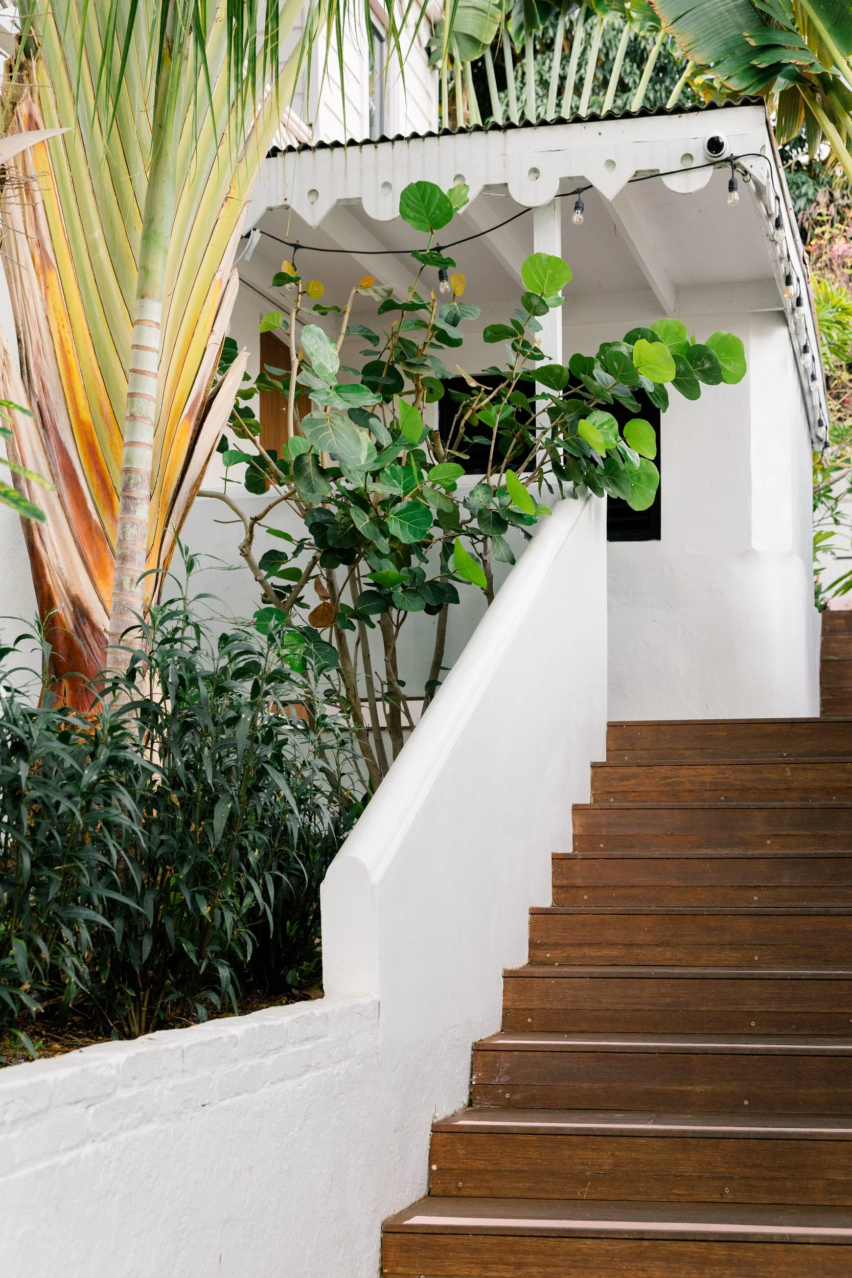 Midcentury modern-inspired architecture at The Pink Palm Hotel in St. Thomas with steps
