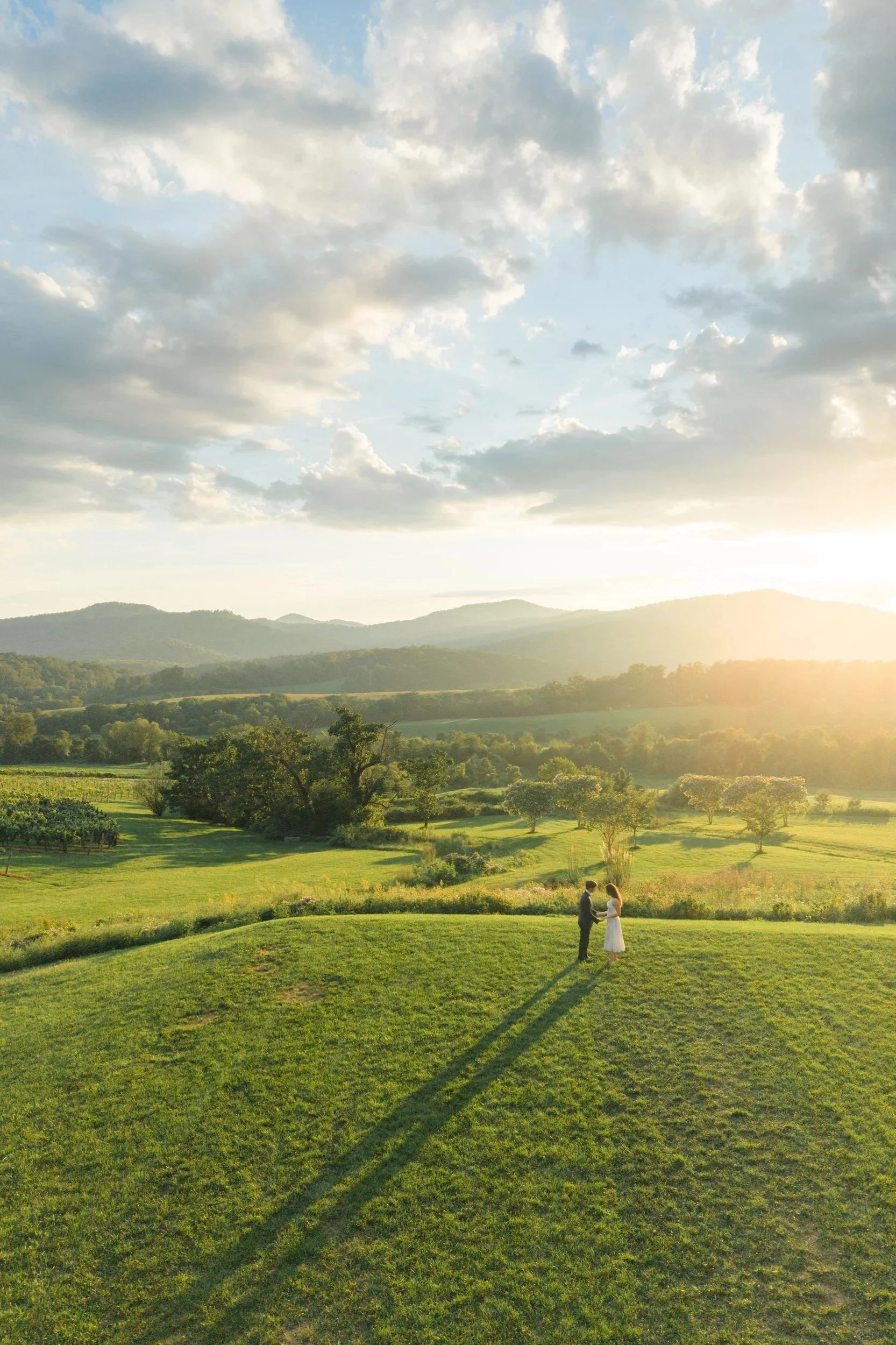 Couple silhouetted against the sunset during their Pippin Hill engagement session