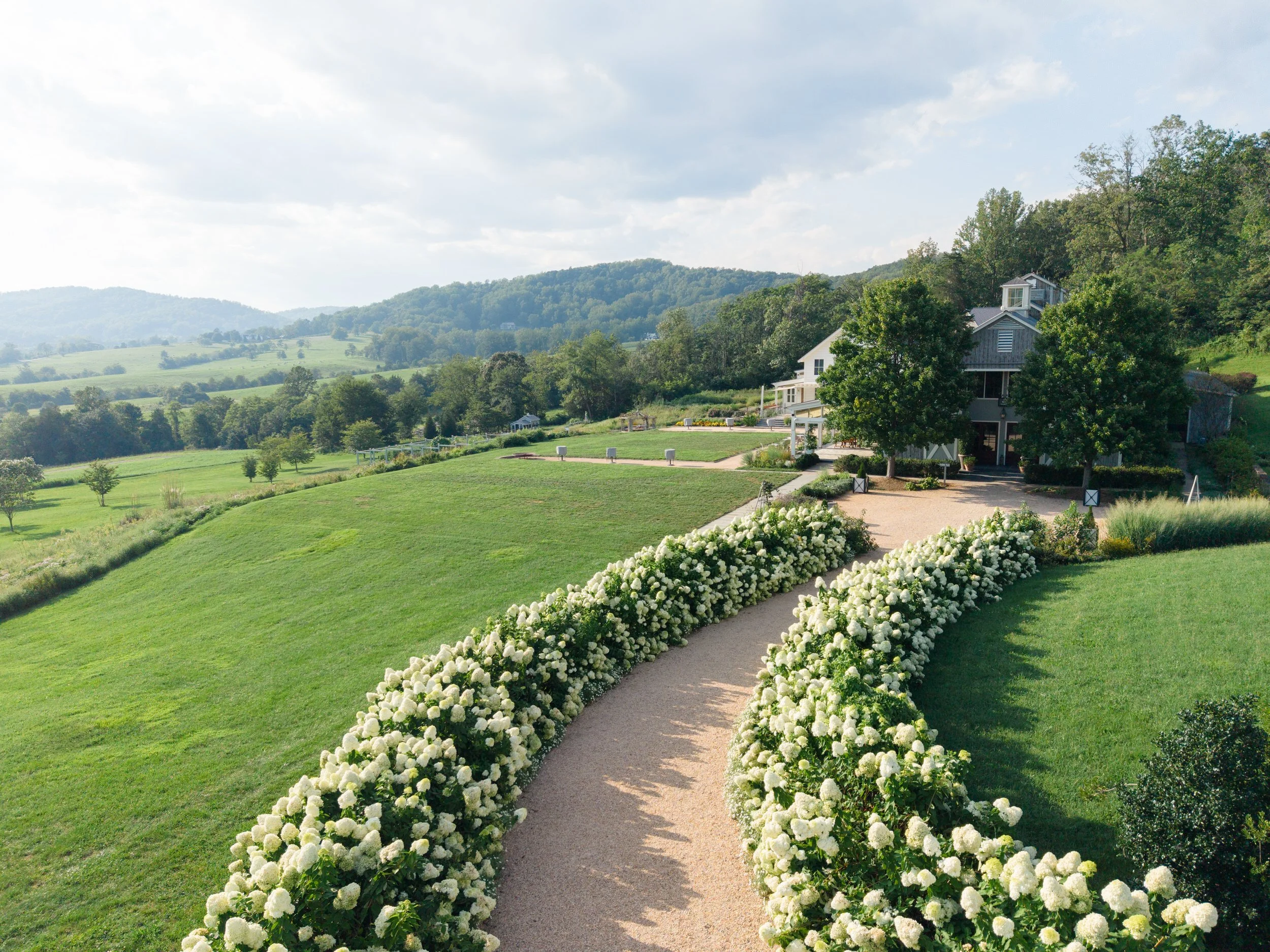 Scenic view of the Virginia wine country landscape and white hydrangeas at Pippin Hill Farm & Vineyards