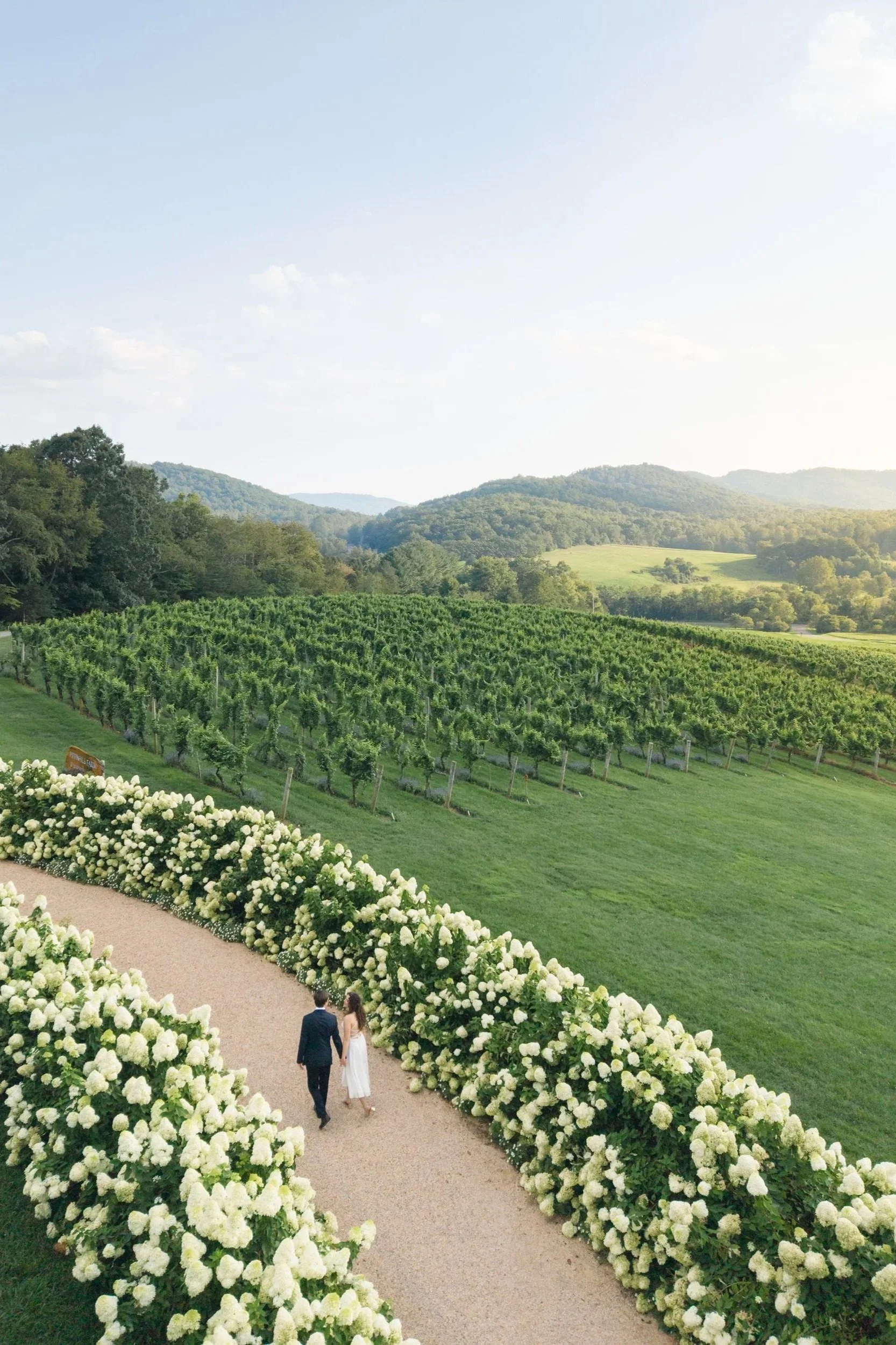 Couple walking through the white hydrangea garden during their Pippin Hill engagement session