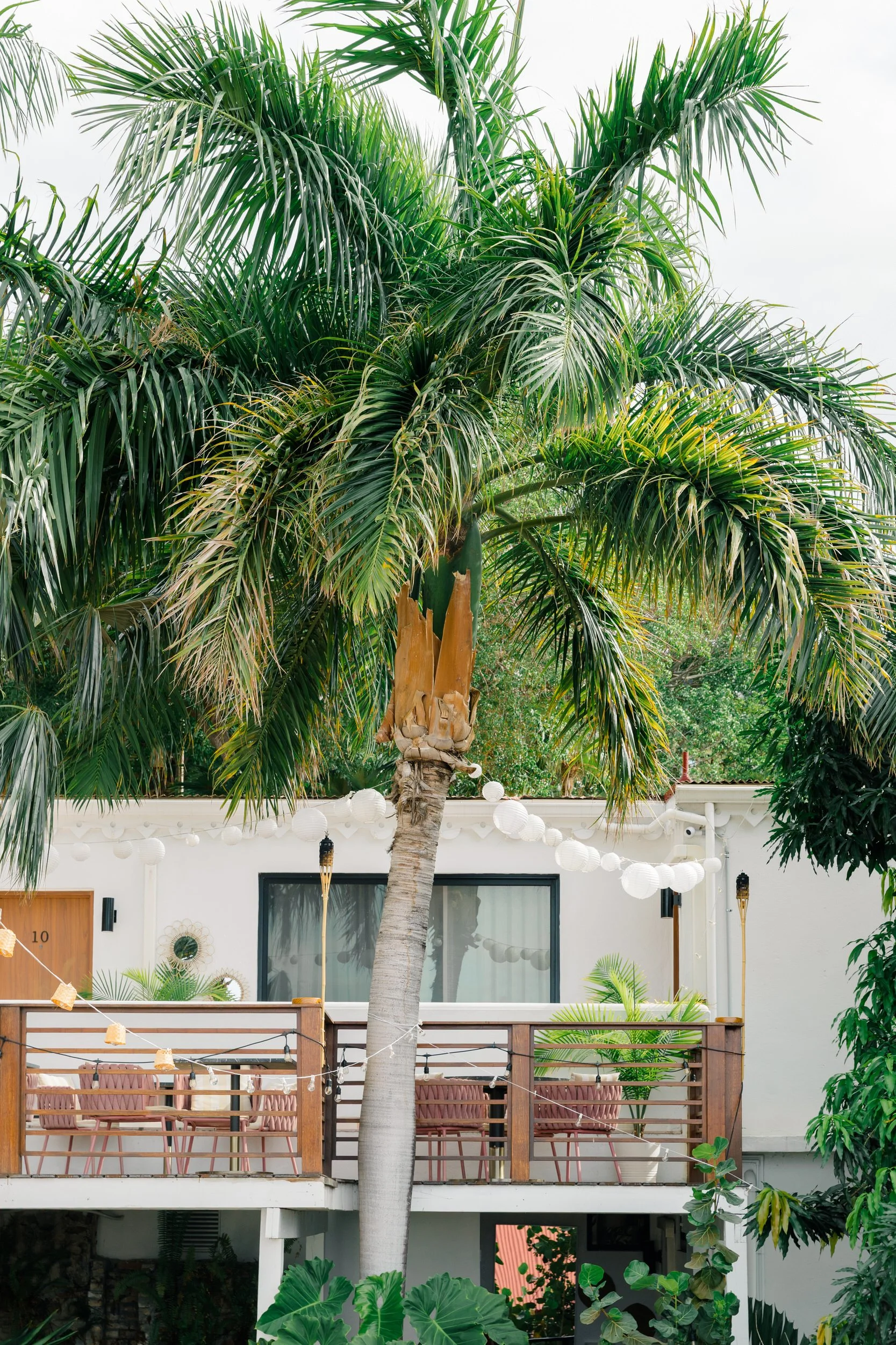 Midcentury modern-inspired architecture at The Pink Palm Hotel in St. Thomas