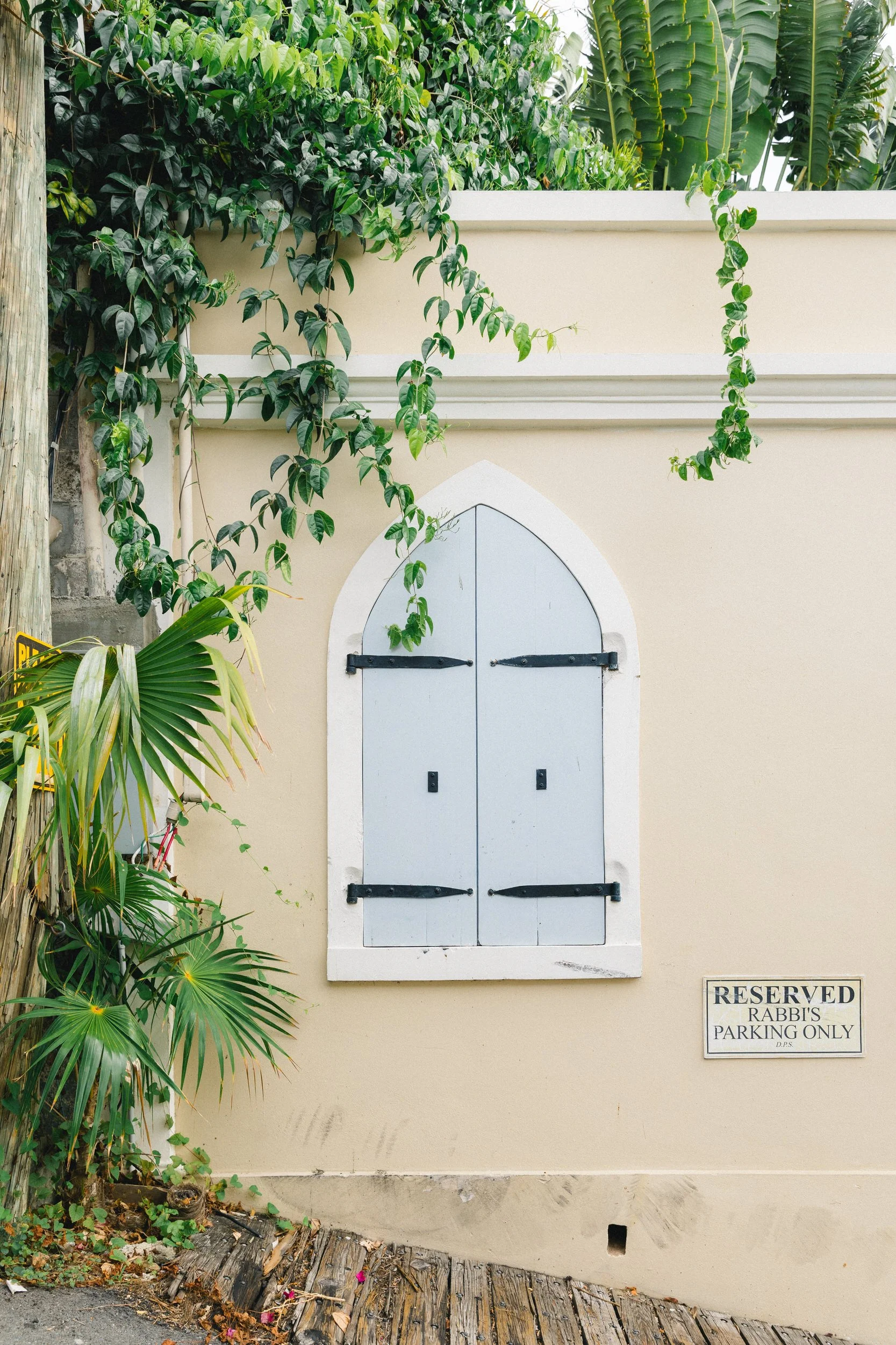 Vibrant tropical plants and colorful Caribbean architecture in St. Thomas