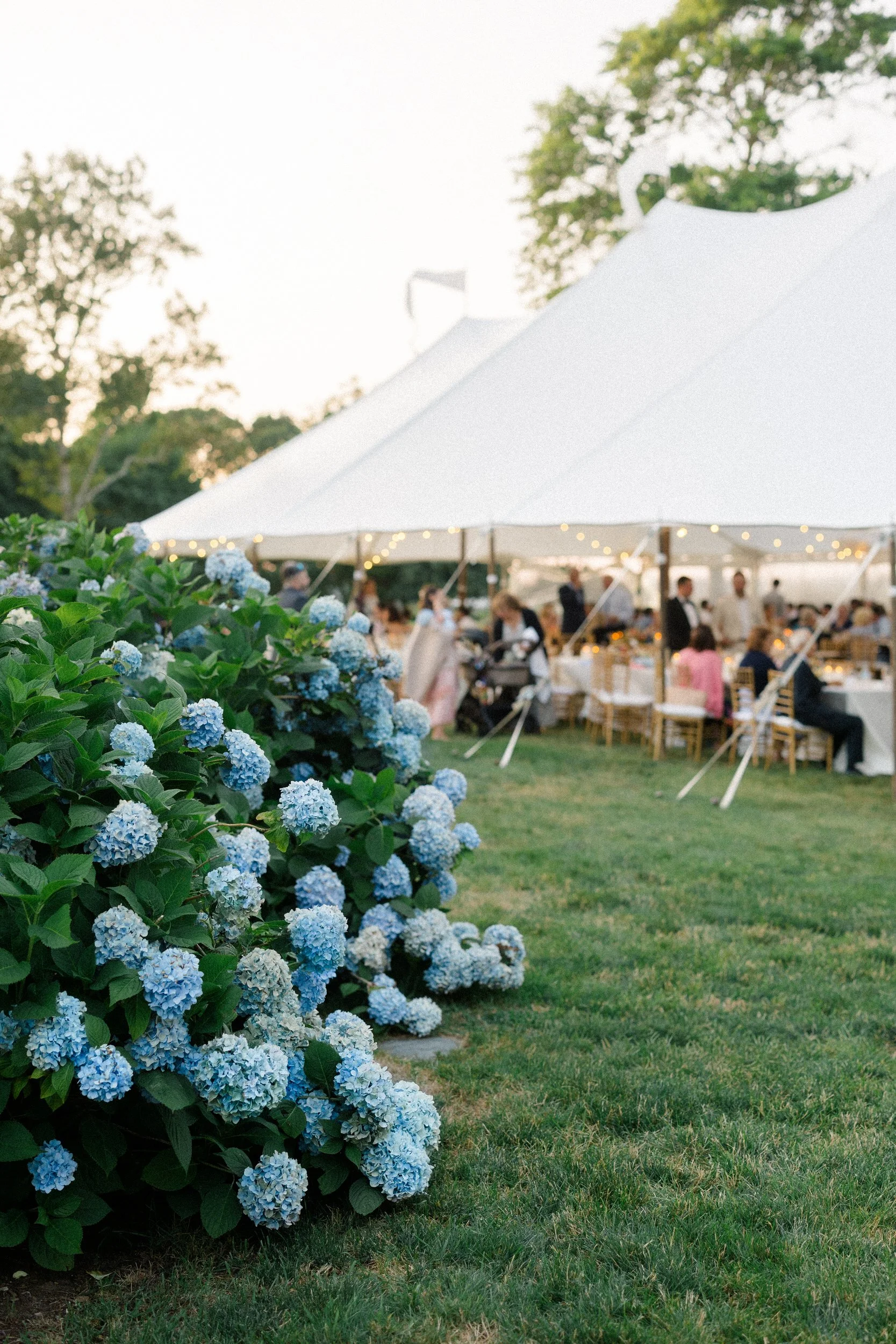Guests enjoying dinner beneath a sailcloth tent during a Cape Cod private estate wedding reception.