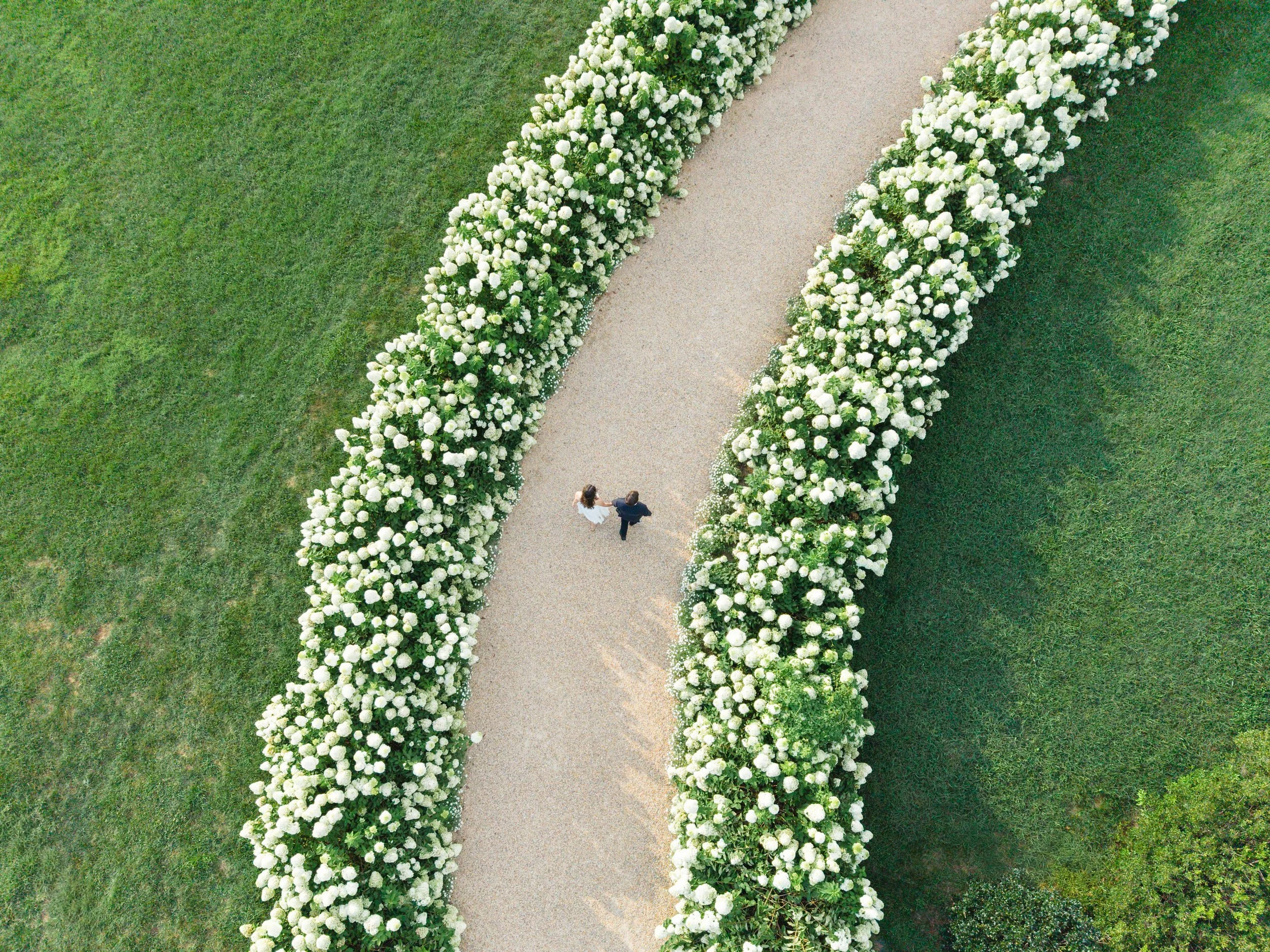 Couple walking through the white hydrangea garden during their Pippin Hill engagement session