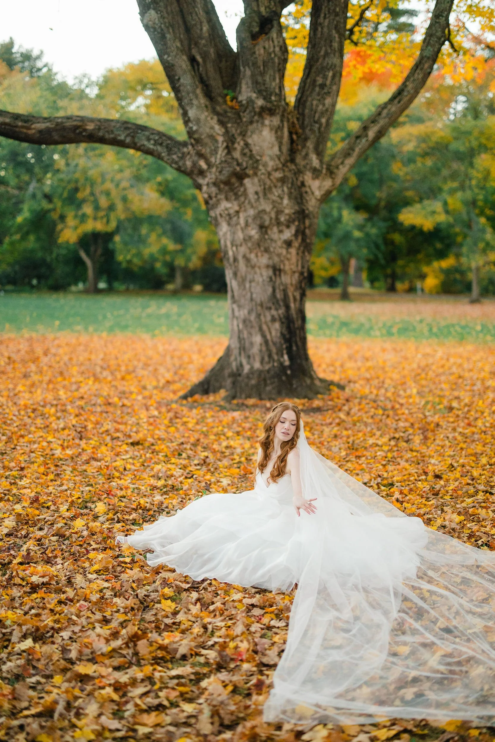 Bride golden hour portraits at an autumn wedding at Elm Bank in Wellesley, Massachusetts.