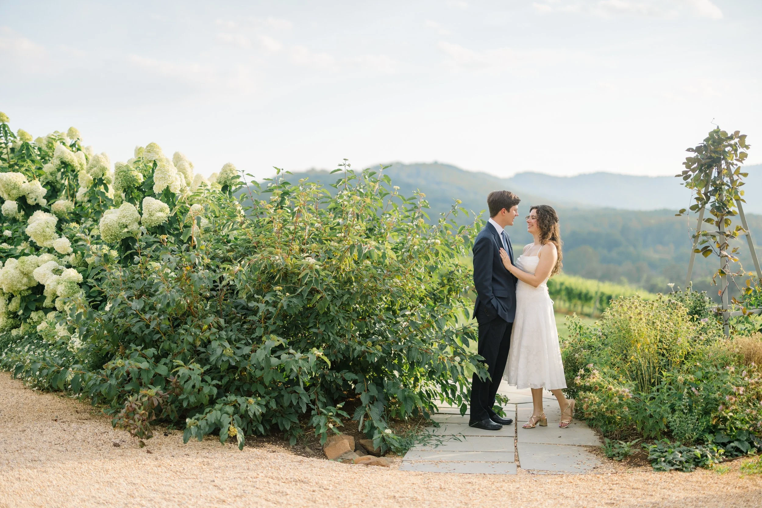 Engagement portraits of a couple overlooking the vineyard at Pippin Hill