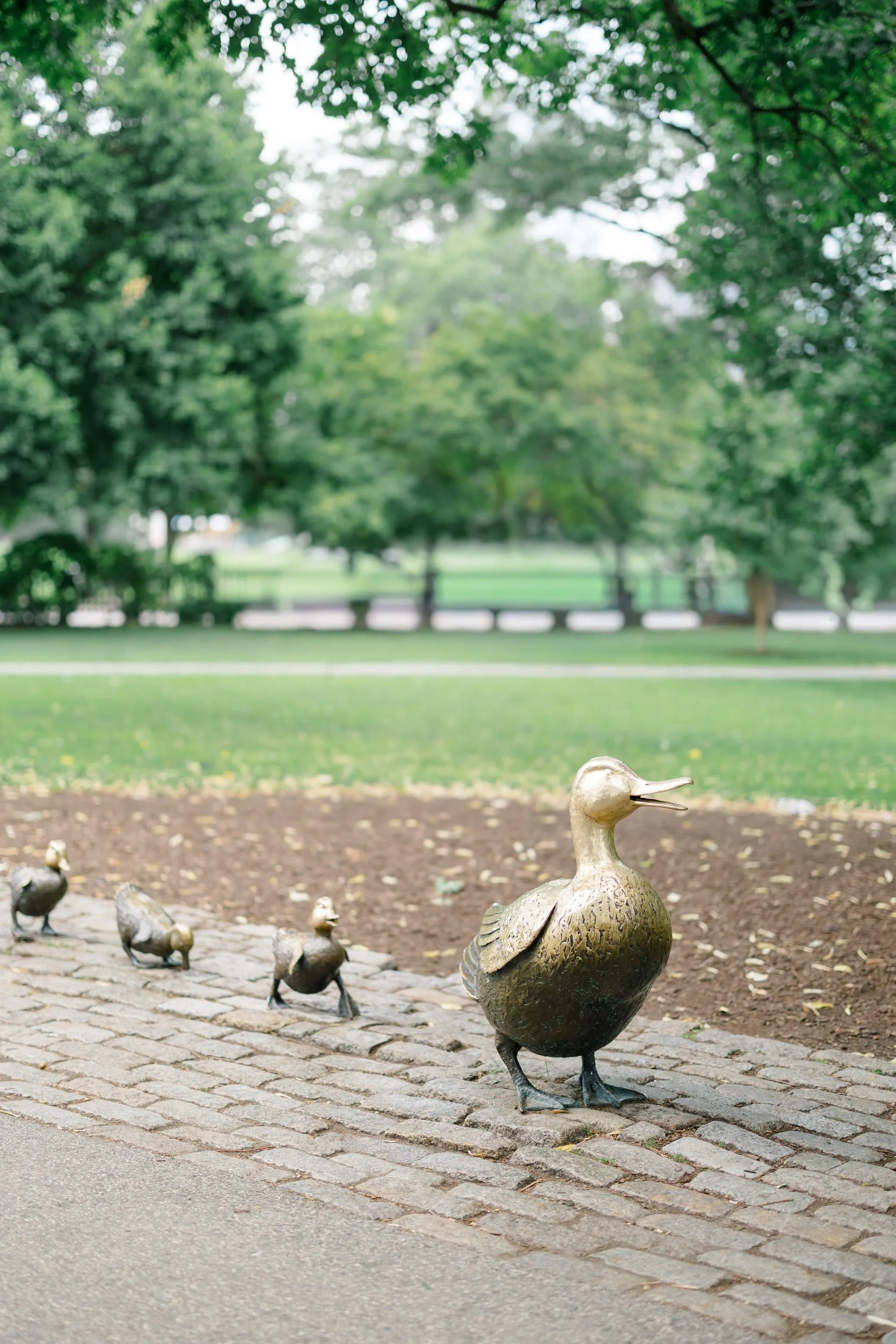 Classic Boston Public Garden icons