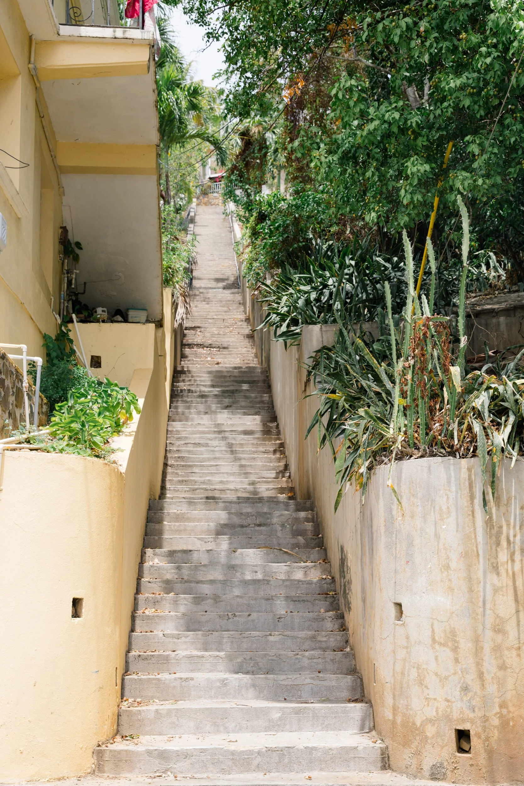 Tropical greenery and colorful buildings along endless steps of Charlotte Amalie