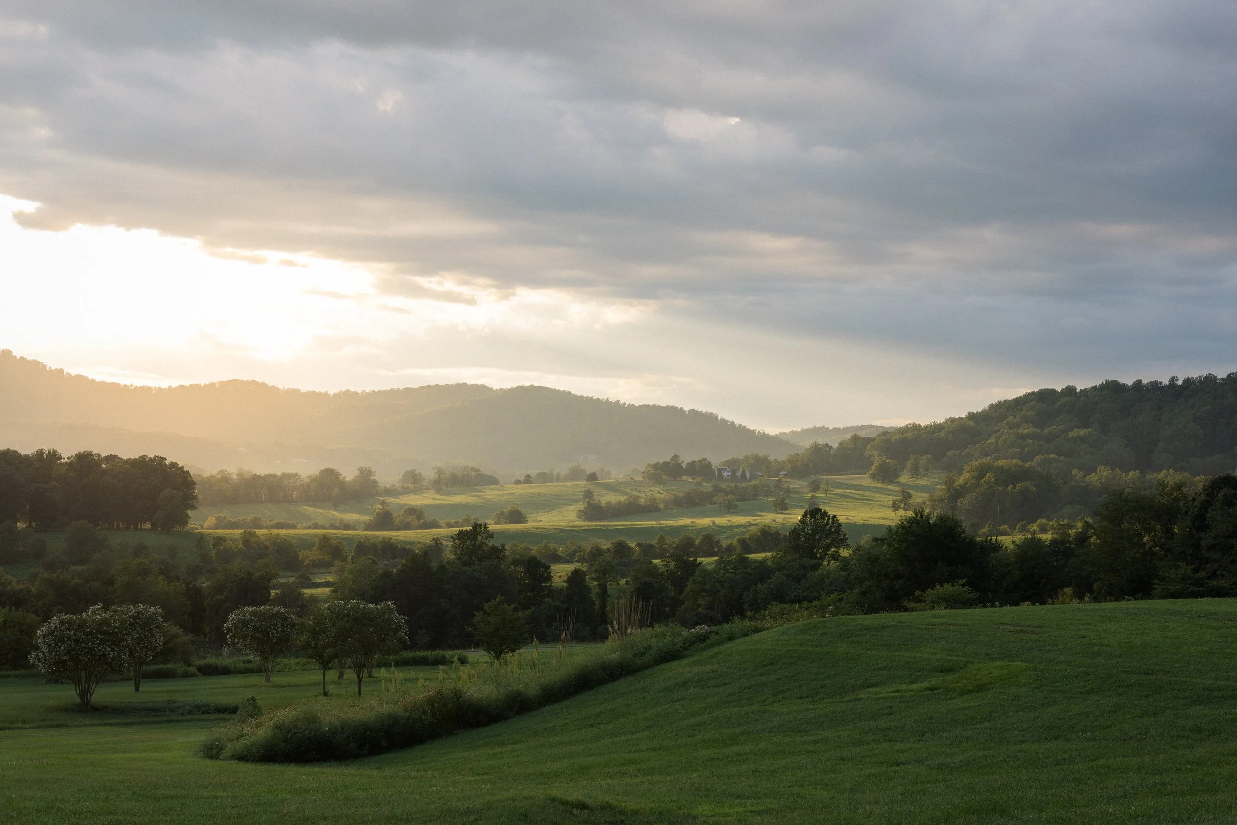 Rolling Virginia wine country landscape surrounding Pippin Hill Farm & Vineyards