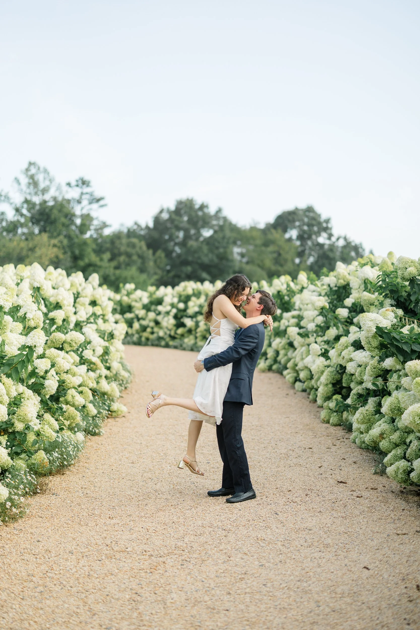 Couple walking through the white hydrangea garden during their Pippin Hill engagement session