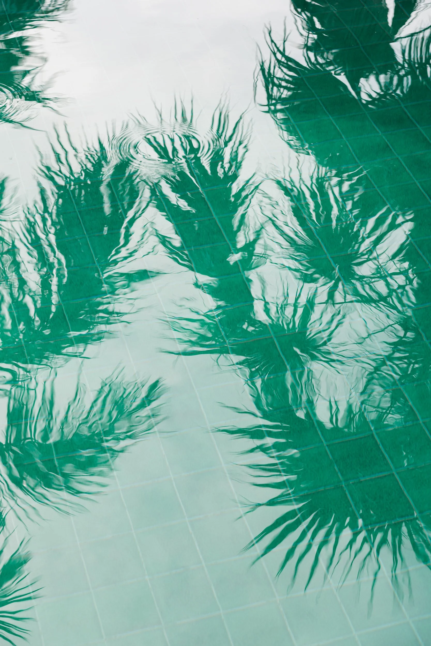 Blue-green tiled pool with palm tree reflections at The Pink Palm Hotel