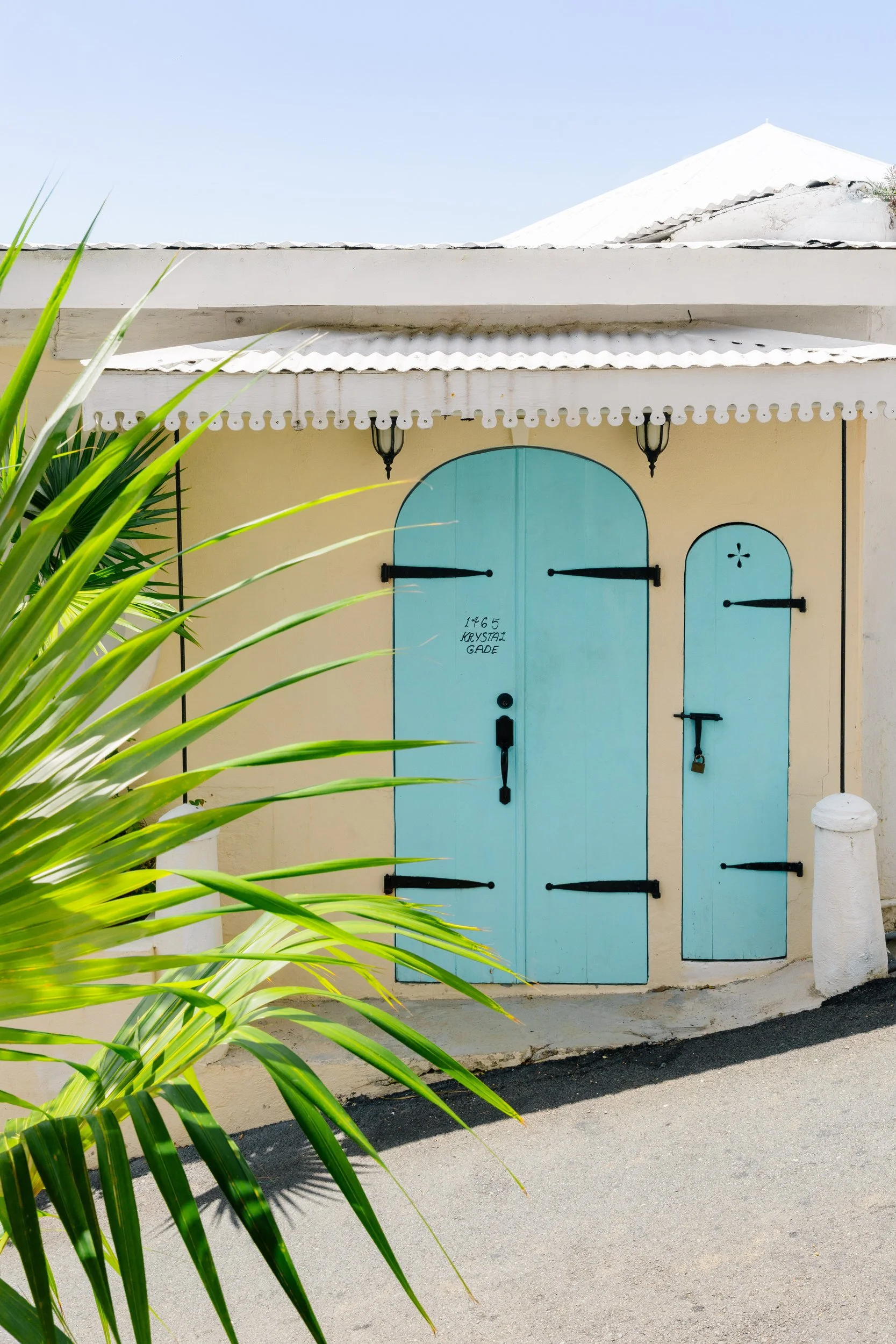 Tropical palm trees and vibrant greenery overlooking the Caribbean in St. Thomas