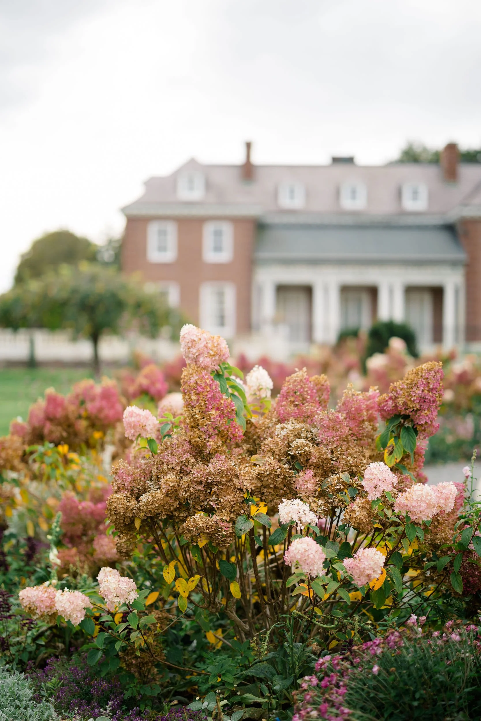 Fall wedding at Elm Bank in Wellesley, Massachusetts.