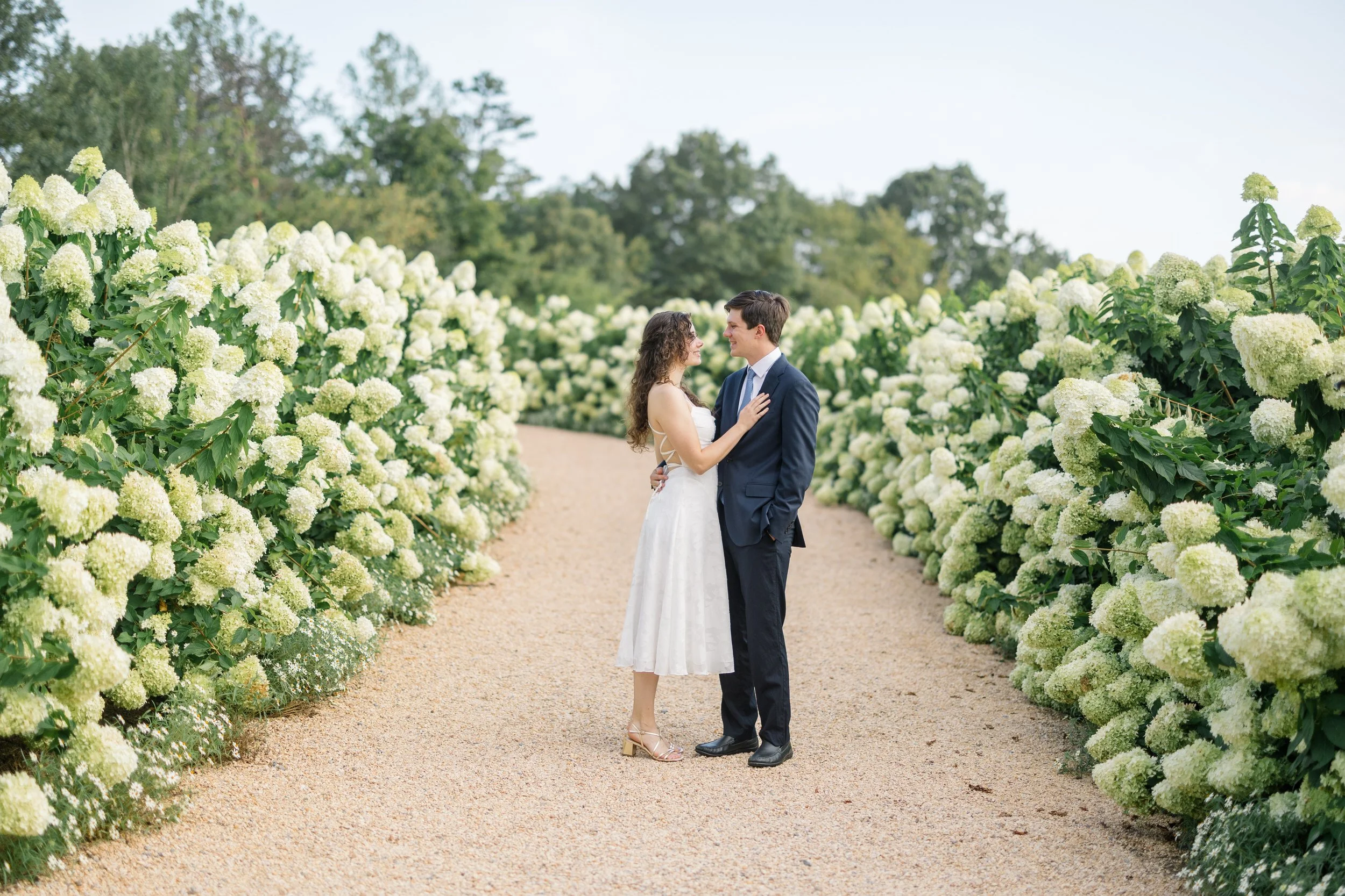 Romantic engagement portraits among the white hydrangeas at Pippin Hill
