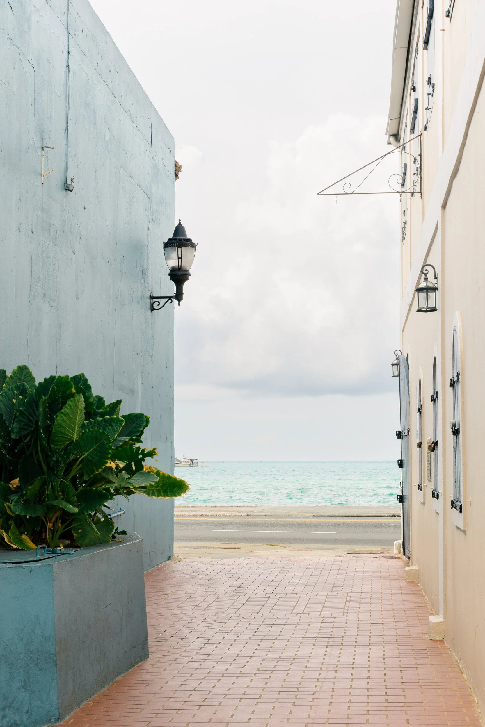 Bright tropical landscape in St. Thomas with lush greenery and Caribbean blue water