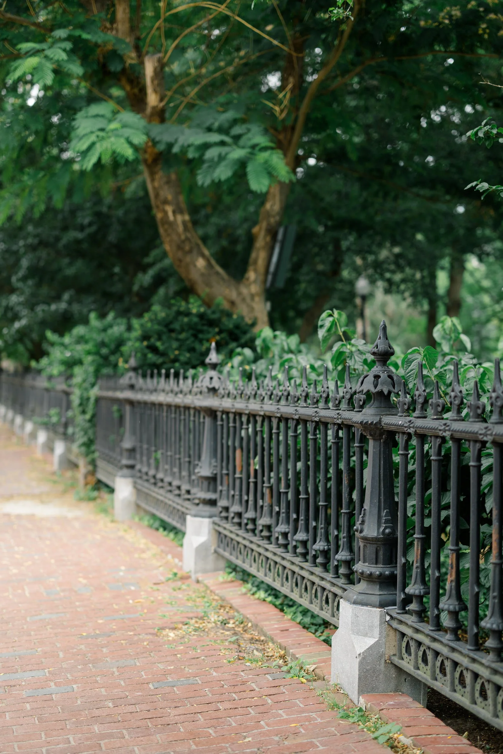 Classic Boston Public Garden icons