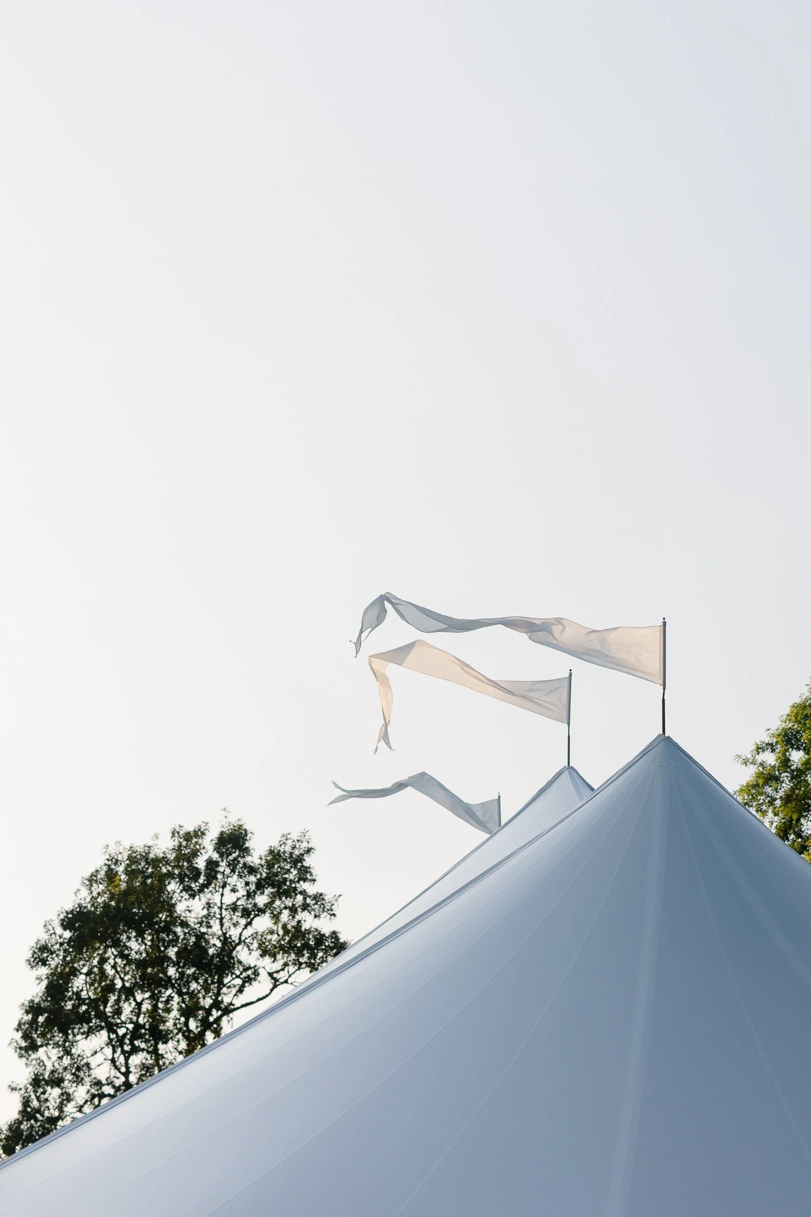 Tented reception at a Cape Cod private estate wedding.