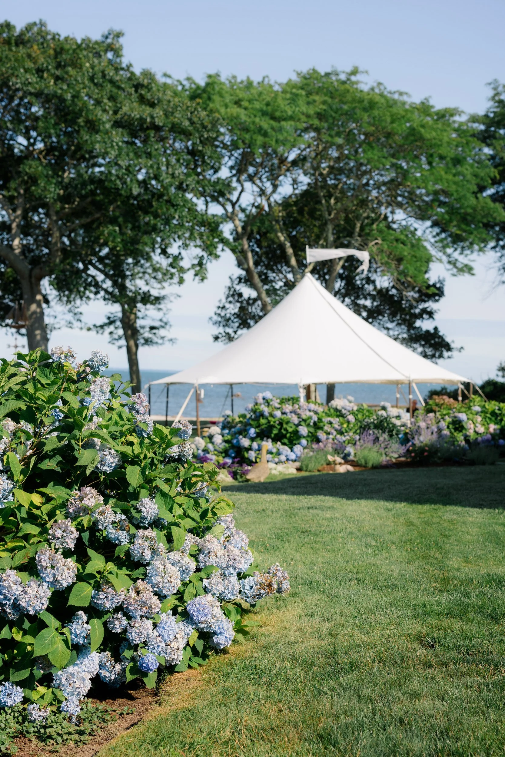 Waterfront cocktail hour with blue hydrangeas at a private estate wedding on Cape Cod.