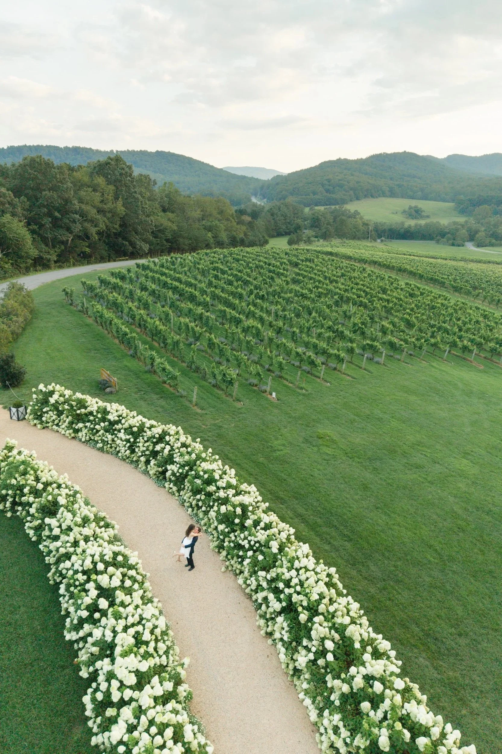 Engagement portrait of a couple surrounded by blooming white hydrangeas at Pippin Hill