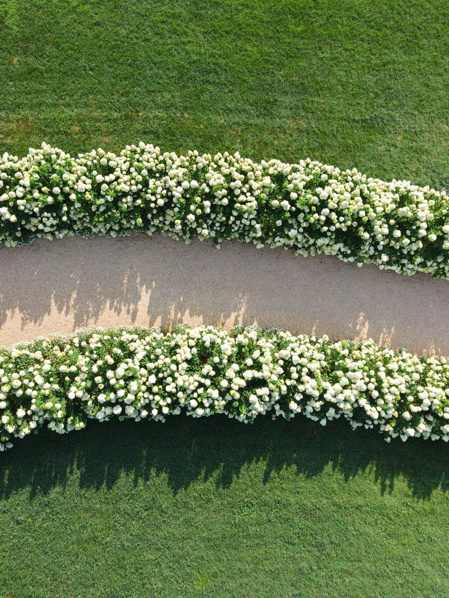 Scenic view of the Virginia wine country landscape and white hydrangeas at Pippin Hill Farm & Vineyards