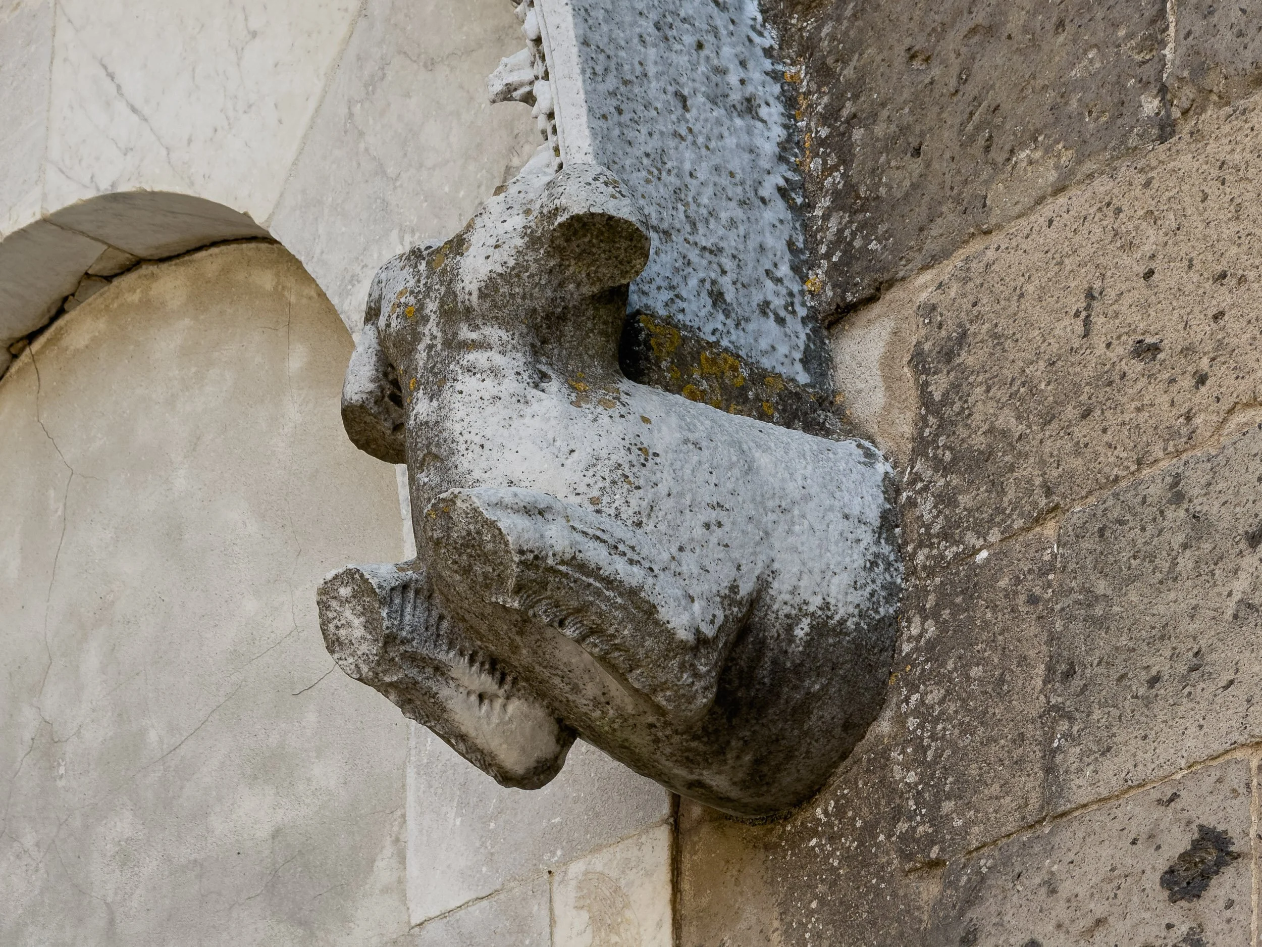 Duomo di Casertavecchia 36