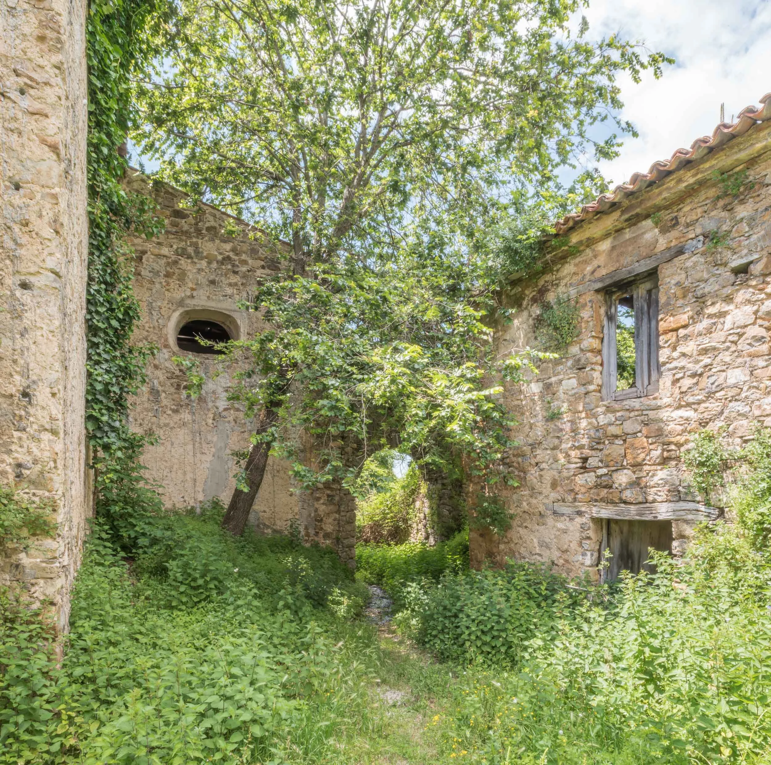Roscigno Vecchia 39