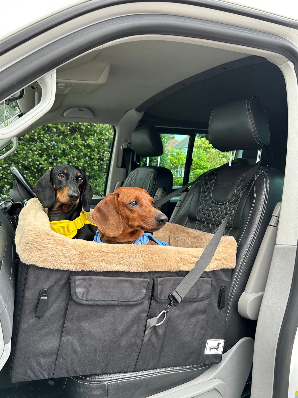 Dog Car Seat & Booster Seat