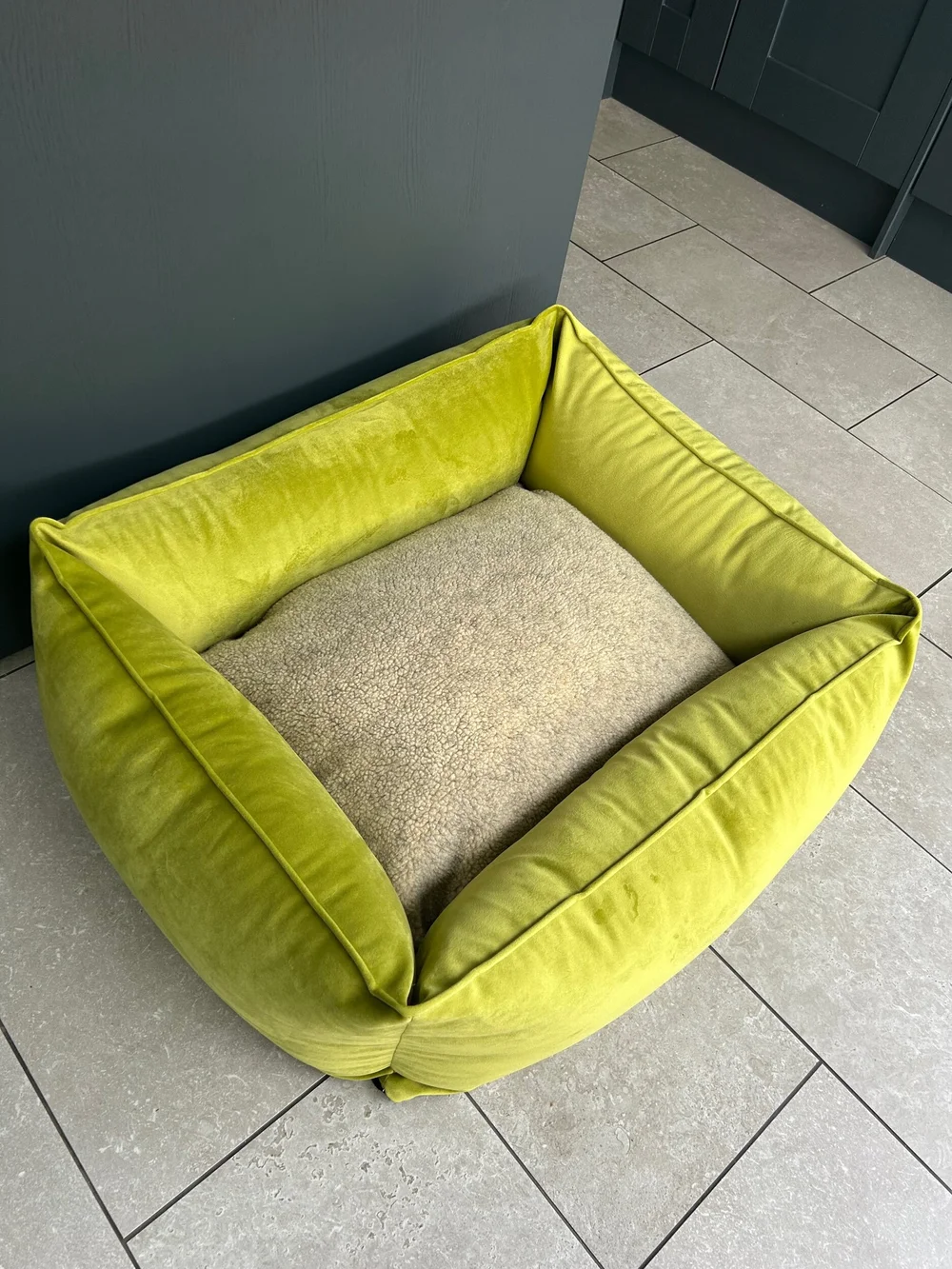 Lime green dog clearance bed