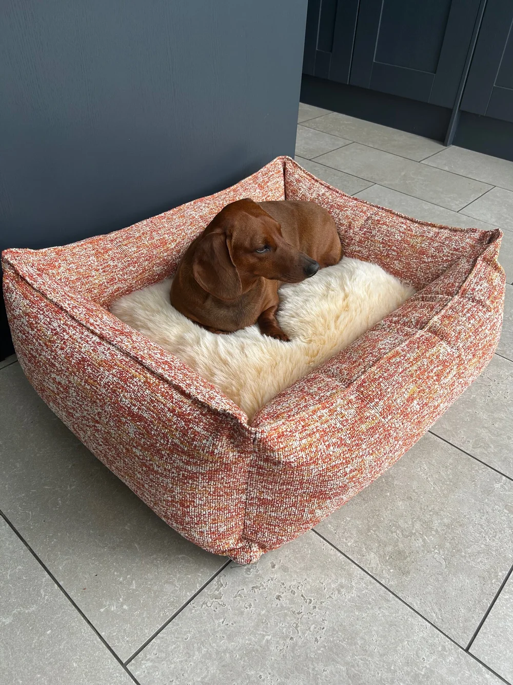 Cath kidston dog bed deals