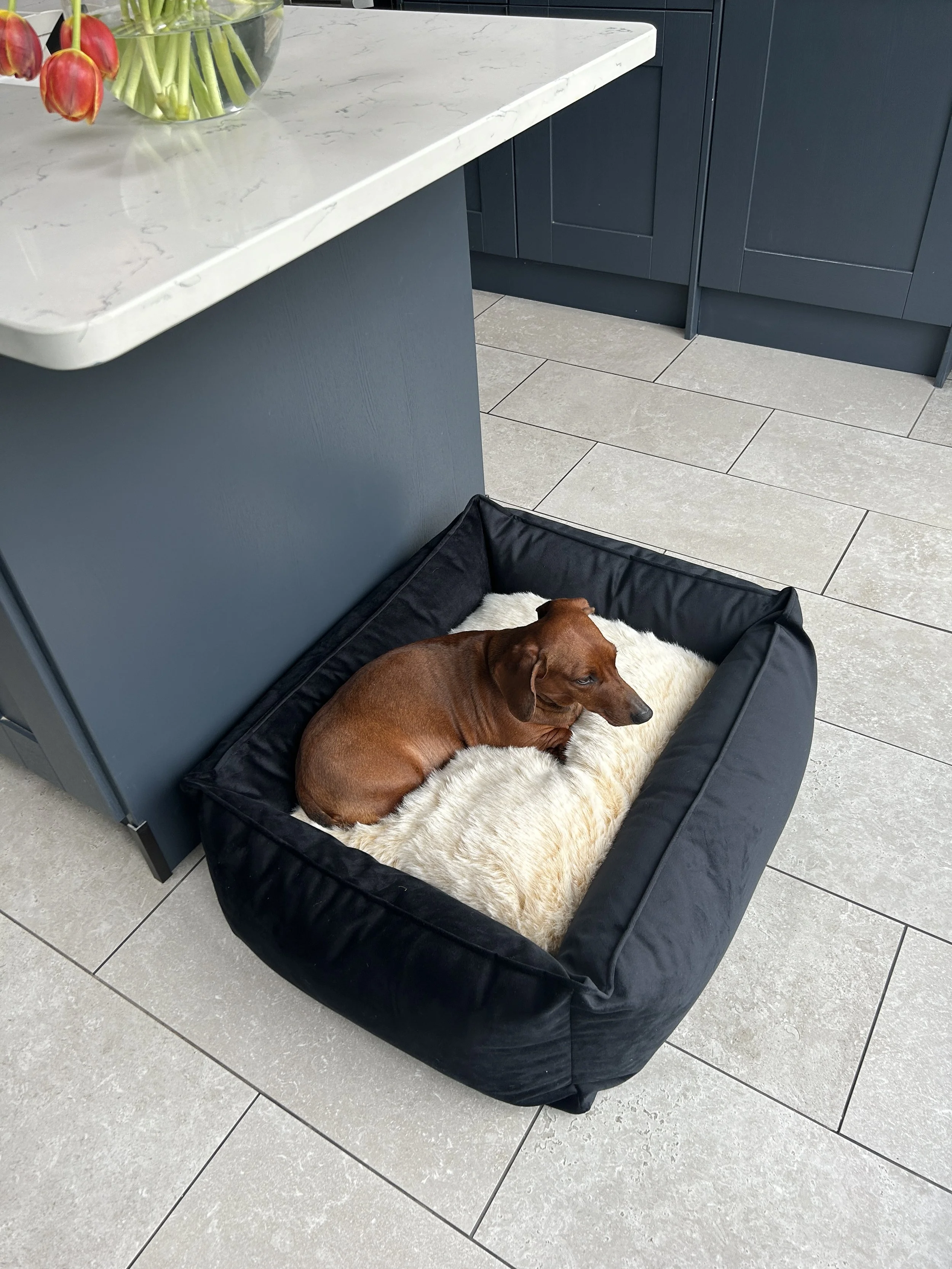 Onyx Velour Box Bed