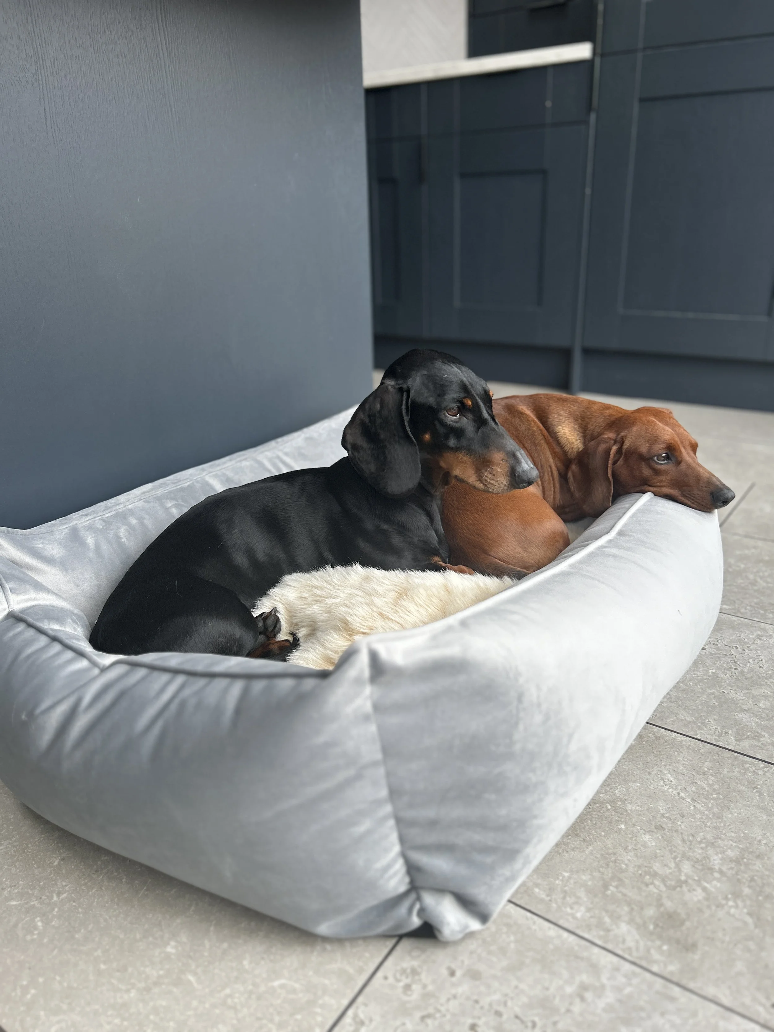 Carbon Velour Box Bed