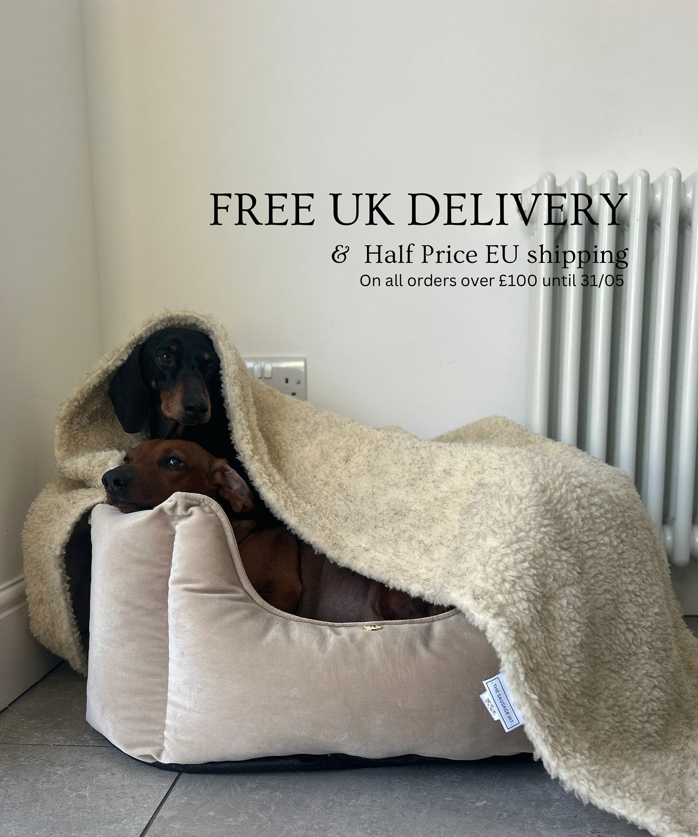 Because our pups still need somewhere cosy to snooze, even in the summer! ☀️
.
Apparently in April we had more sun in this month than we did in the whole of last year! May it continue 🙌🏼 we have so many gorgeous products for the summer, our Car Sea