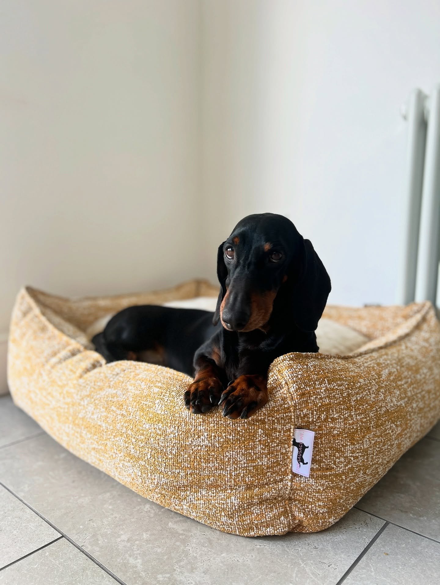 There may be a heatwave pending, but don&rsquo;t let that stop you from ordering those products you&rsquo;ve had your eyes on! 👀☀️
.
We have SO many products for all year round, your pooches always need a good snoozing spot!
.
#thesausagepit #dogbed