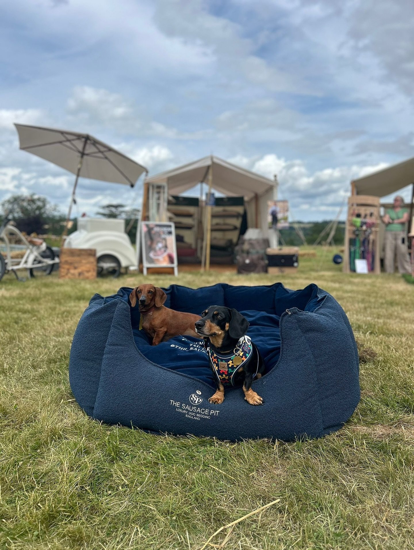 Park Fair 2025 has been a blast!

Surrounded by the best people, in the beautiful Great Tew countryside! What more could one need?! 
.
Our Human sized Cubby went down a treat too, hands down the biggest dog bed ever to exist! 
It went through vigorou