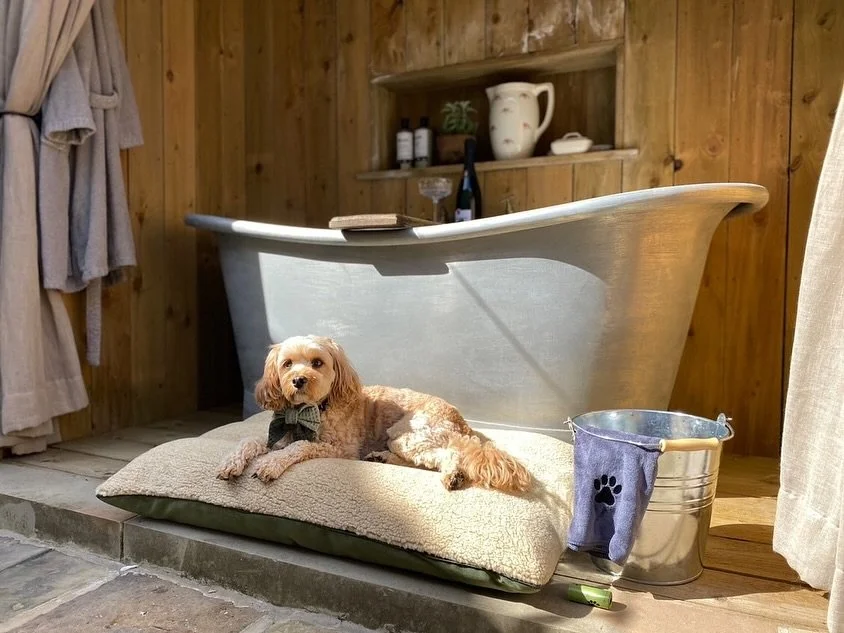 Psssst! Tell your mates that of course you don&rsquo;t need to be a sausage to enjoy a Sausage Pit Bed!
.
In fact our memory foam loungers reach a whopping 150cms in length, suitable for the largest of breeds with the best orthopaedic support ❤️
.
Sh