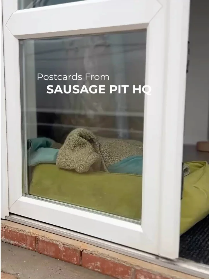 Lets Make a Soho Carrier together from scratch in our Solihull Studio 👯&zwj;♀️
.
From Fabric Rolls to finished product ➡️➡️➡️ we do it ALL! 💁🏻&zwj;♀️
.
#thesausagepit #dogcarrier #ivdd #dachshund #sausagedog #pinterest #ilovemydog
