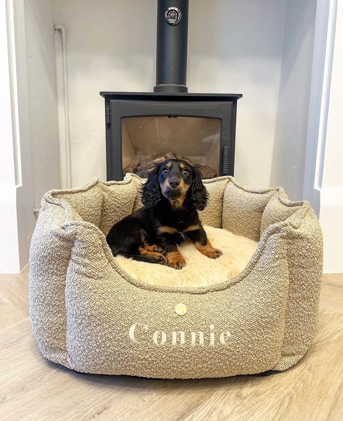New puppy, New bed! 
.
@cadi.mini grabbed her new sister a personalised Cubby with her name on! Theres no better welcome home feeling than this, and maybe she will let you share it (sometimes) 🤨
.
#thesausagepit #newpuppy #dachshund #ilovemydog #dog