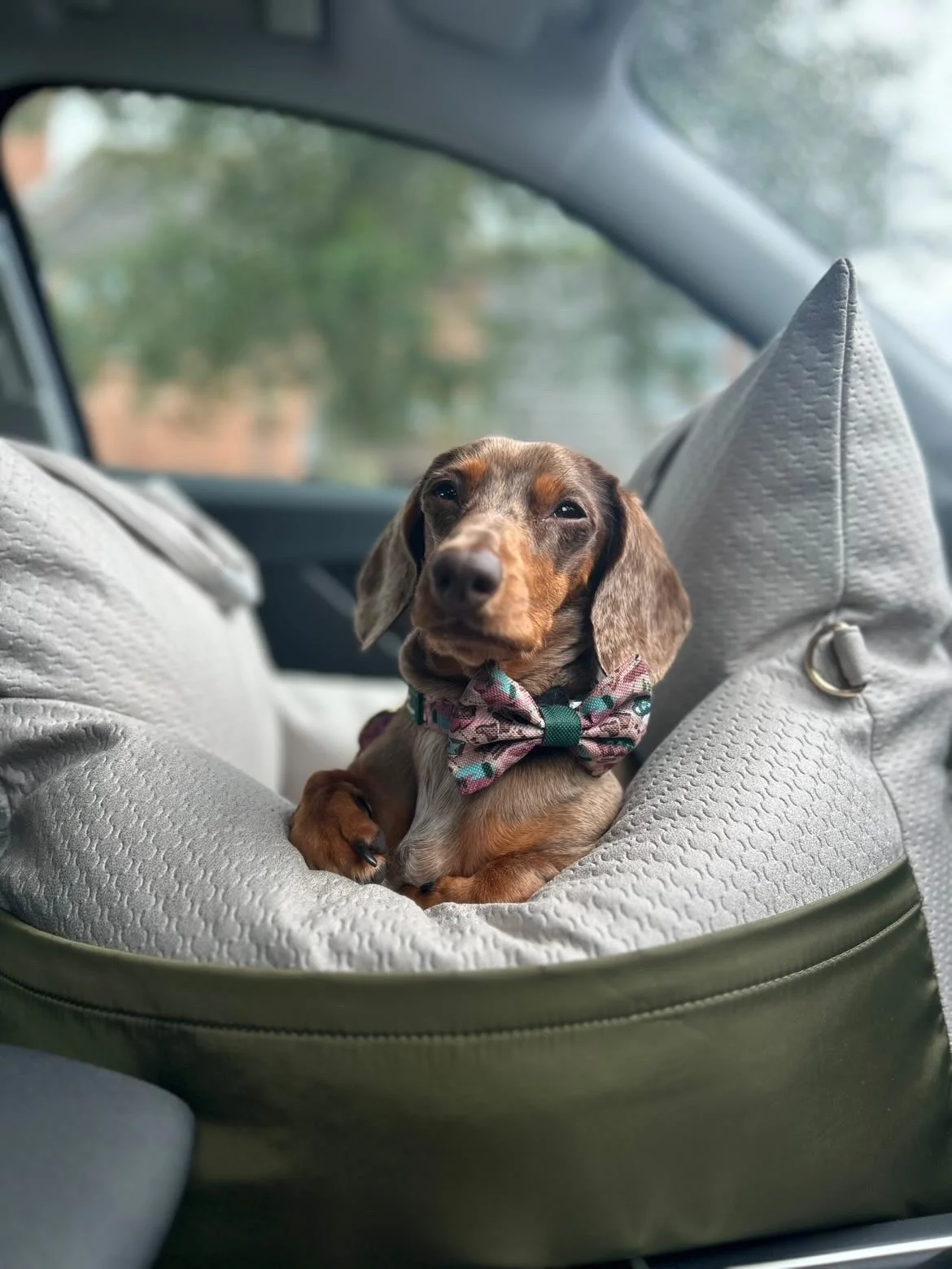 TSP Singular Car Seat- Limestone