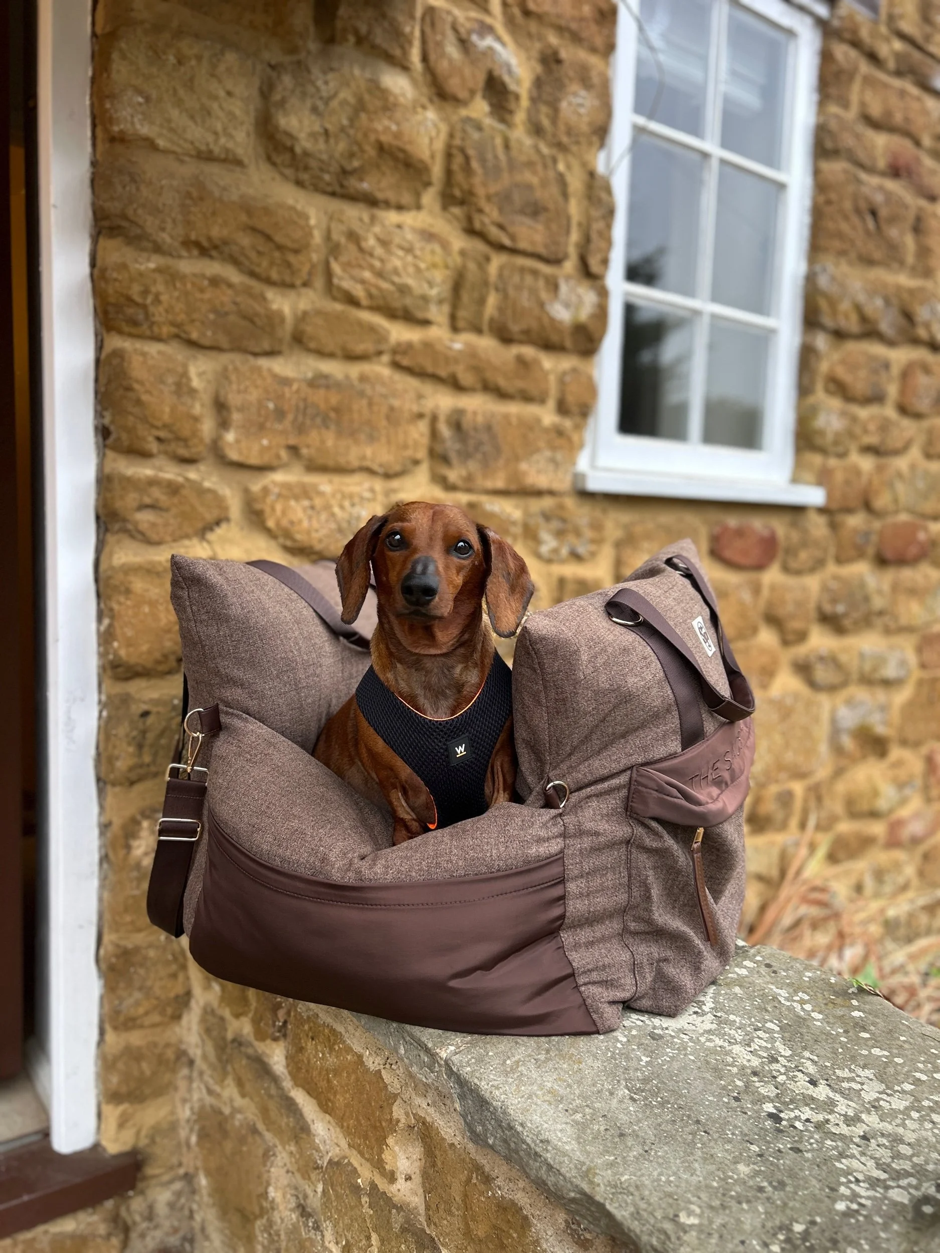 TSP Singular Car Seat- Cotswold Collection