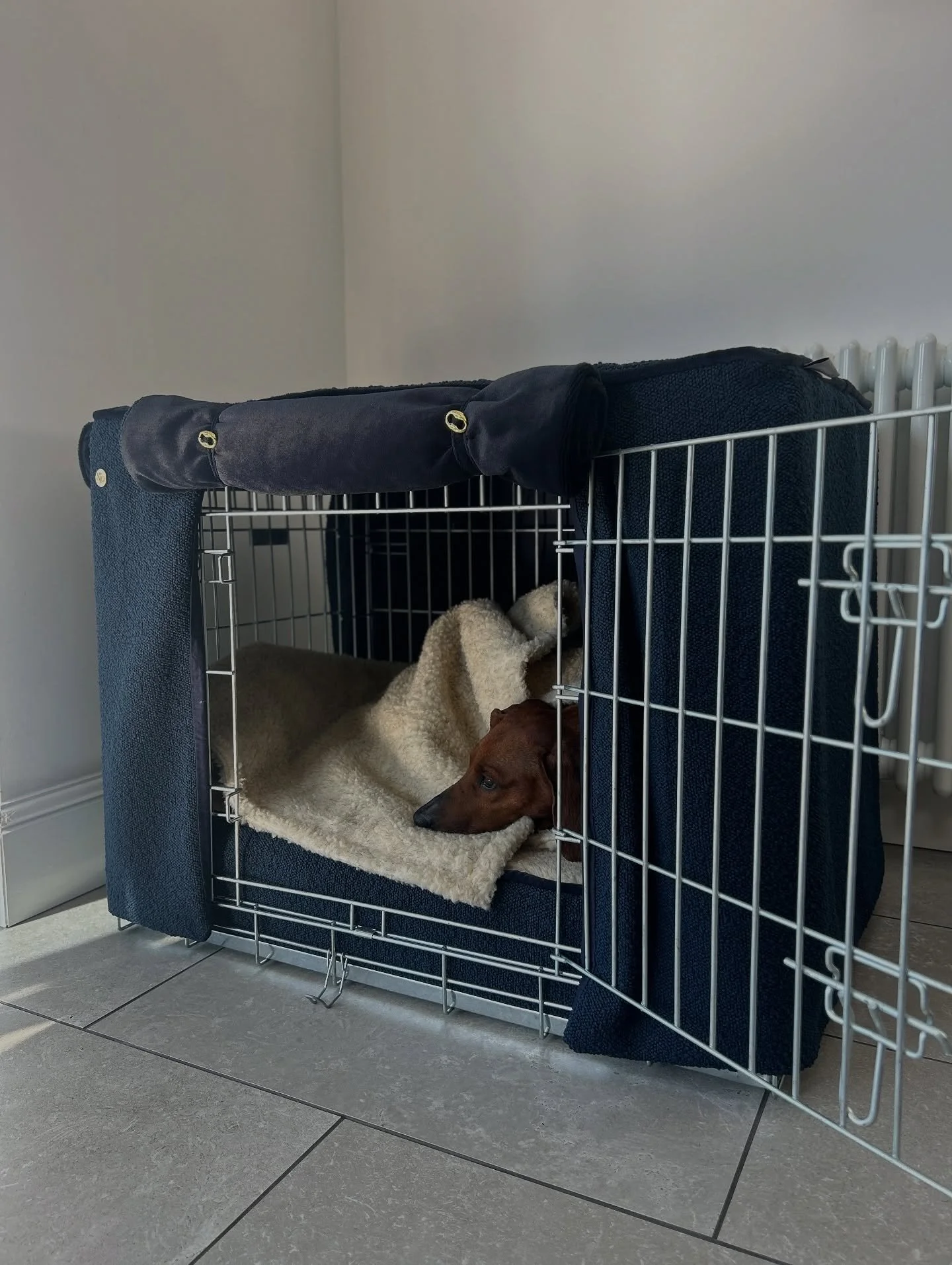 Did you know&hellip;?!
.
There are two different versions of our Crate Sets?
.
Image 1) Is our Memory Foam &amp; Blanket option- This will last you longer with waterproof mattress covers &amp; offers firmer support making it a better option for IVDD.