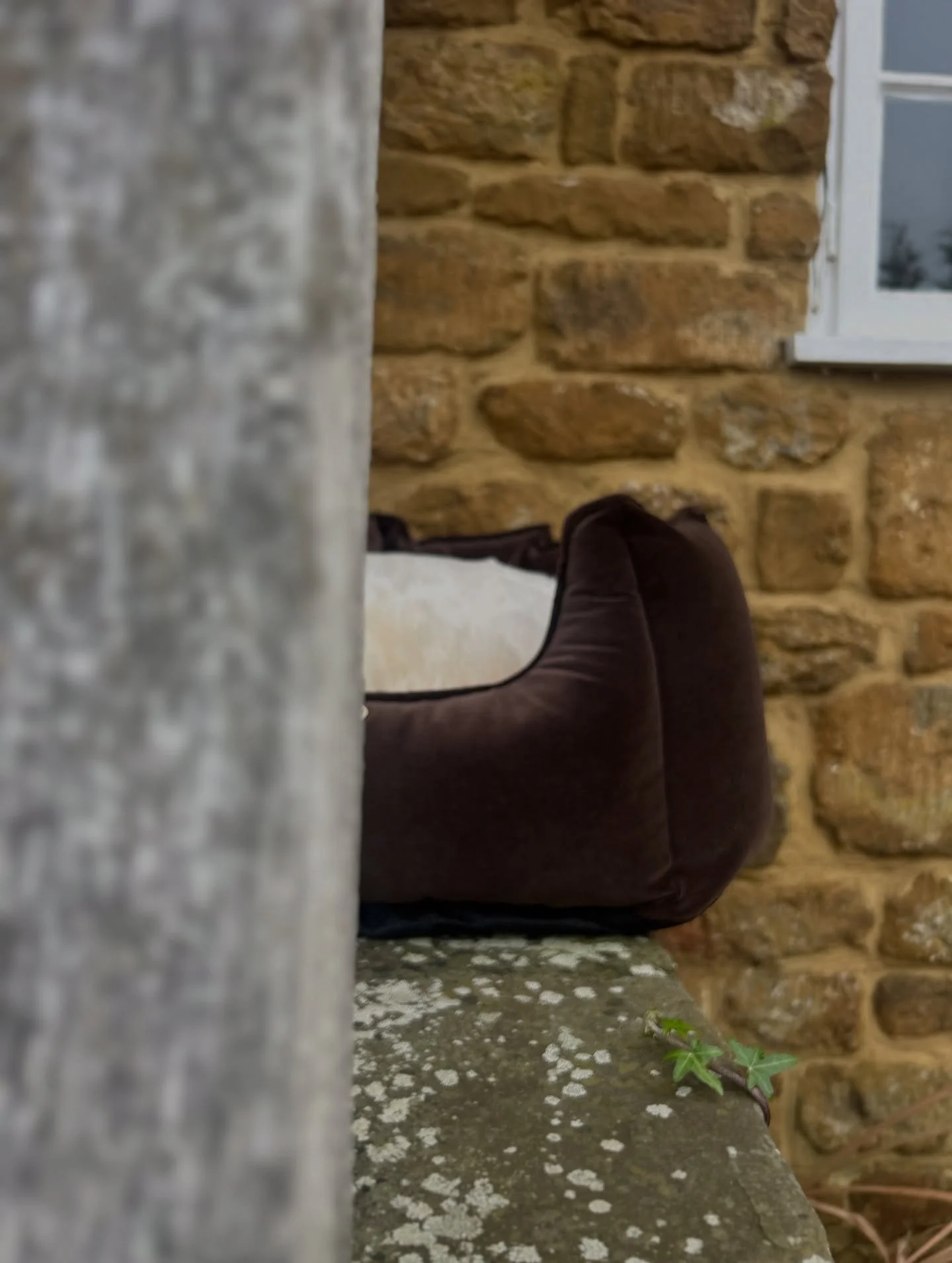 TEASER 🤎
.
Thats all you&rsquo;re getting for now&hellip;
Next week our Grid is turning ESPRESSO 🤭
.
Launching Mid November in Cubby, Box, Snuggle bed &amp; Crate set 🙌🏼
.
#thesausagepit #dogbed #luxurydogbed #velvet #autumninteriors #interiordes