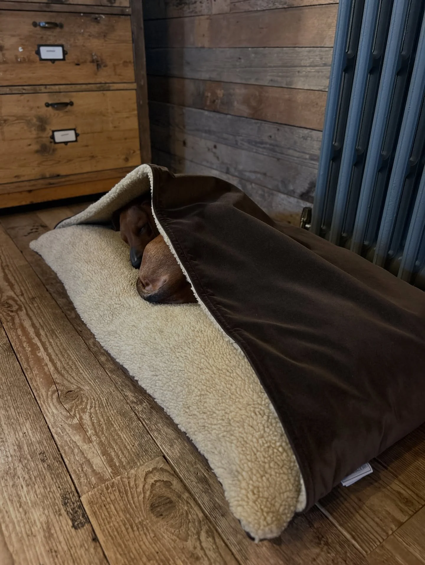 WOW WOW WOW 🤎

You guys have blown the Espresso Launch out of the park &amp; its been one of our best EVER launches in Pit History 🙌🏼😱
.
Yesterday we tried to get ahead &amp; make dent in cutting the orders but they just kept rolling in 😂 
.
Our