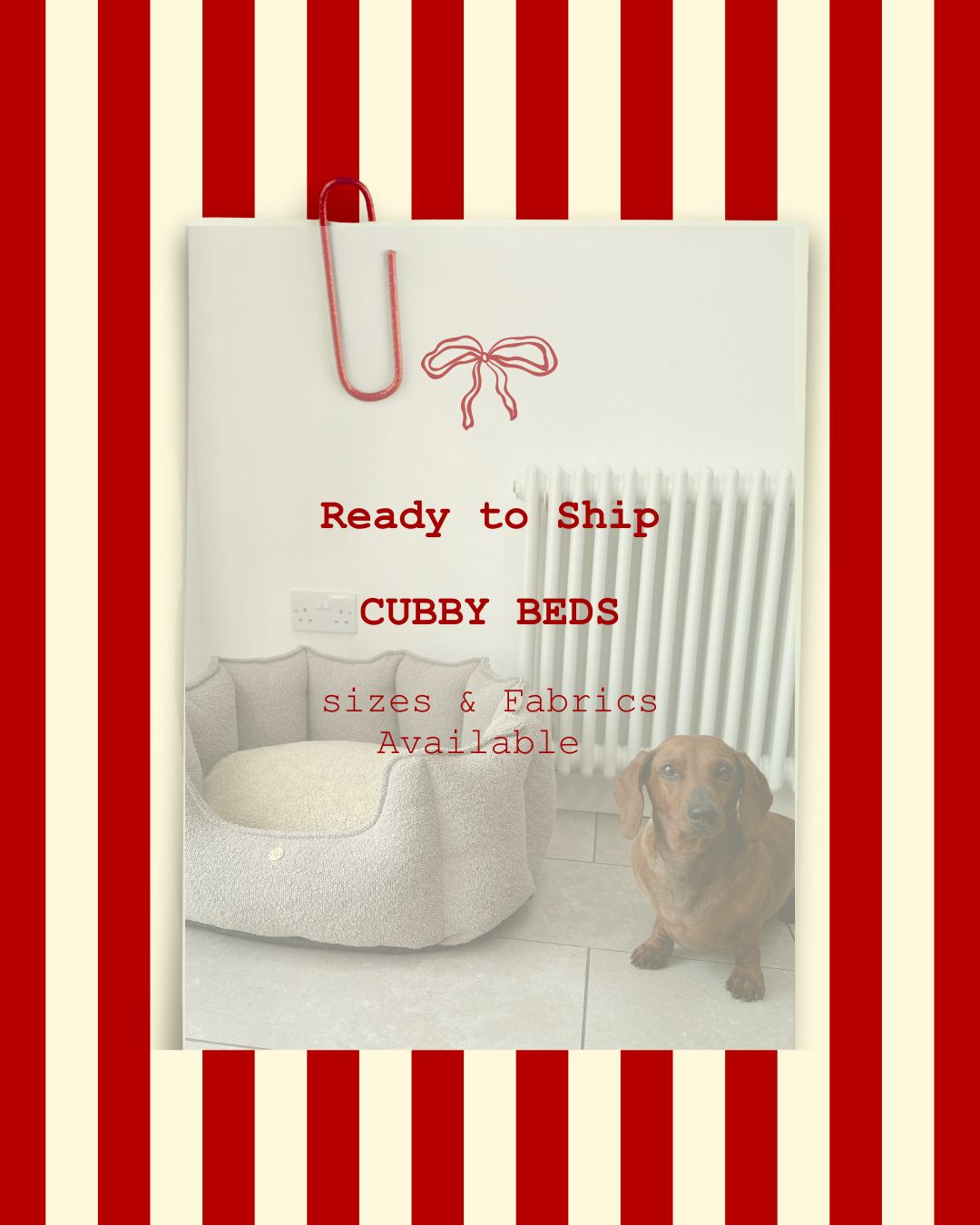 Ready to Ship Cubby Beds (Order Before 22/12)