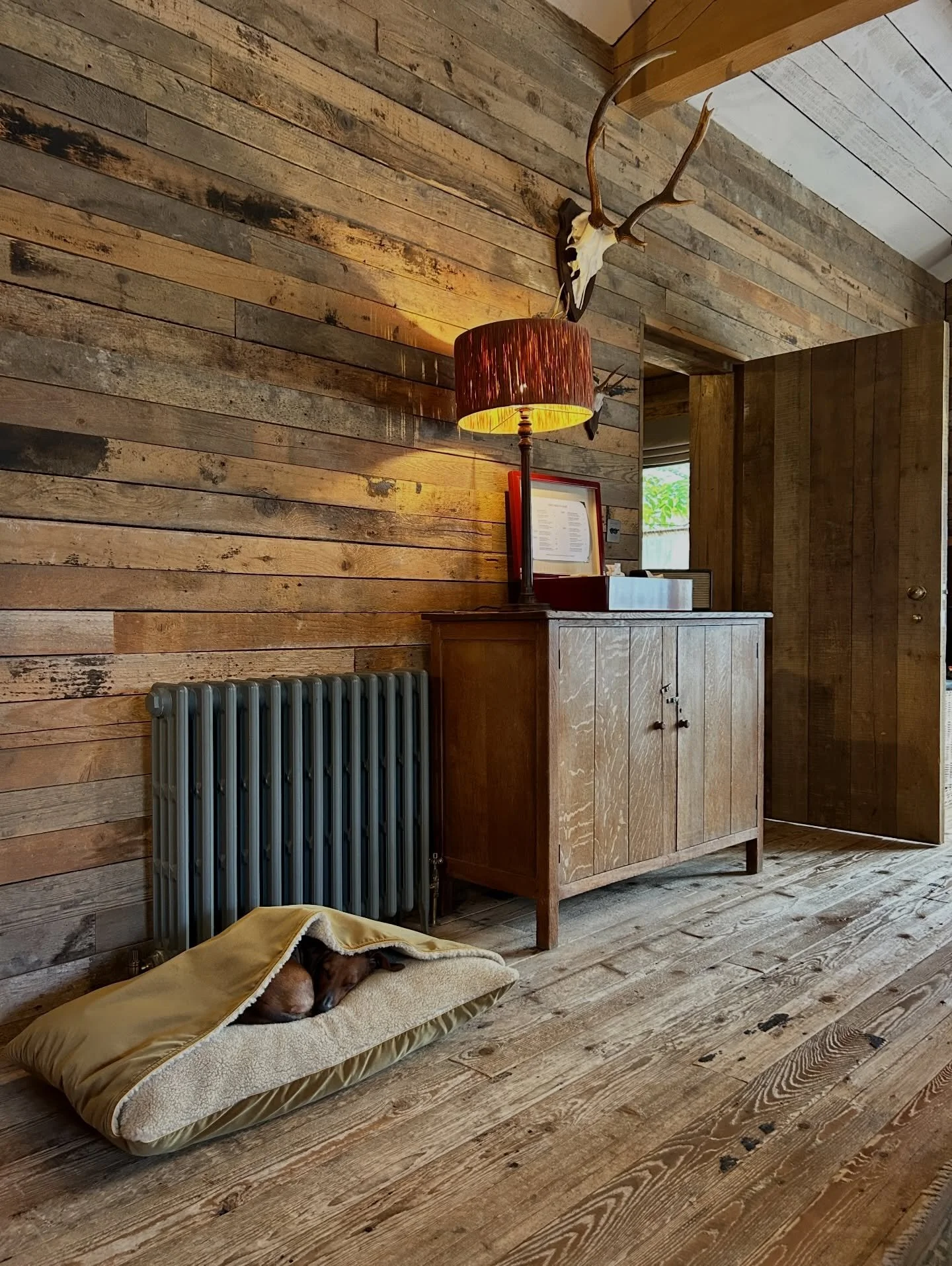 One Tired Saus..
After a busy day Mingling with 30 other Sausages at @daylesfordfarm , Sizzle said shes on for an early night 💤🥱
.
And one final reminder that tomorrow is our last working day until the New year, which means the last chances to grab