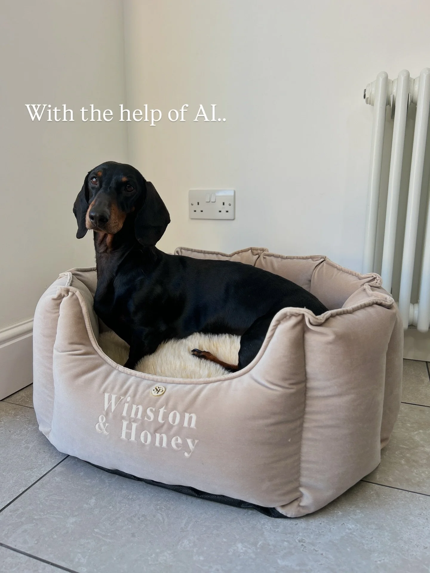 Should you, or should you not add Personalisation to your order?! 
.
Personally, we ✨Love it✨ 🤭
.
#thesausagepit #dachshund #sausagedog #luxurydogbed #snugglebed