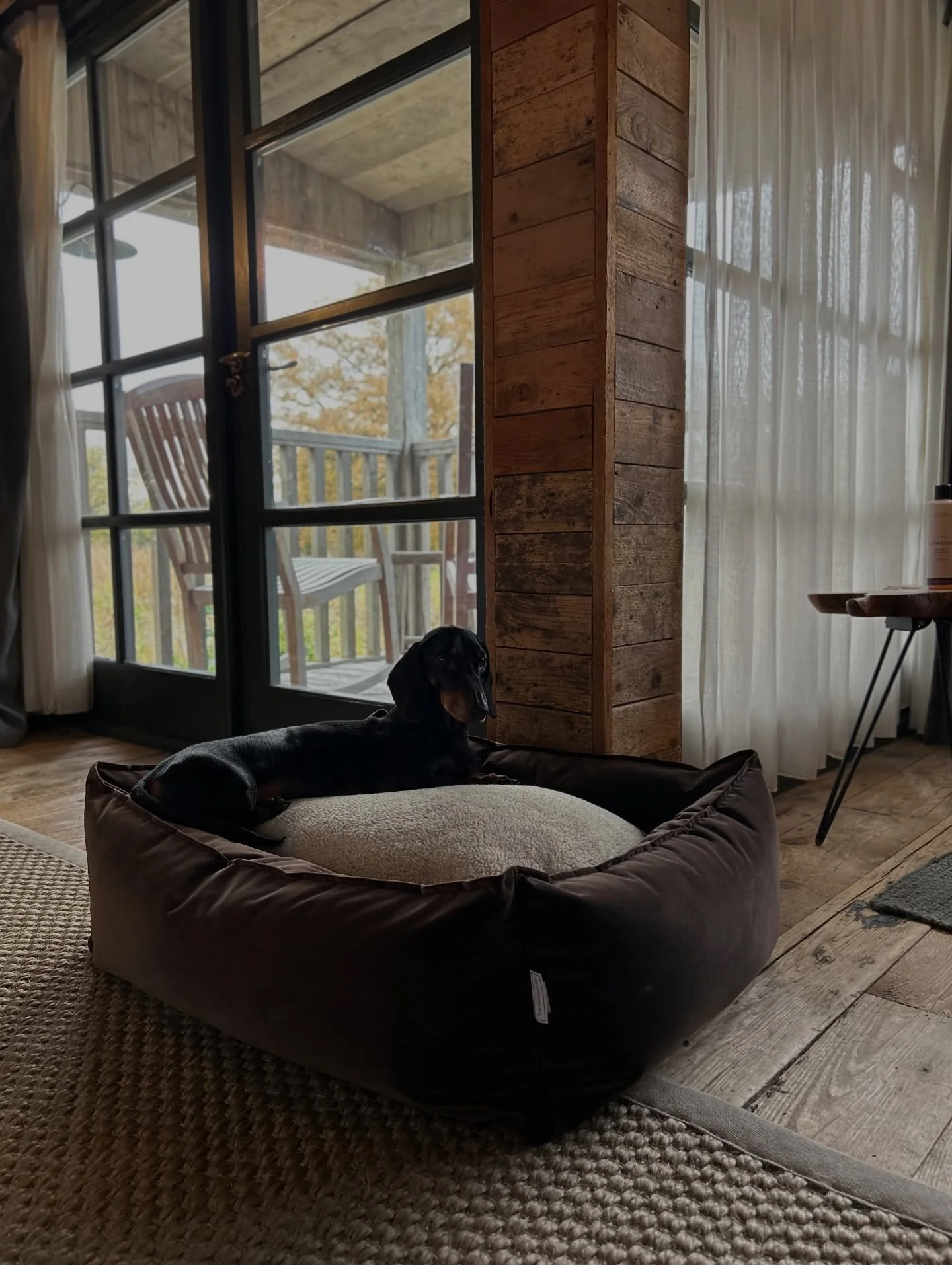 The Weekends calling 📞
.
It&rsquo;s calling for extra snoozes, extra snacks in the extra boujee big bed! 
.
#thesausagepit #cotswolds #sohofarmhouse #dogbed  #dachshund