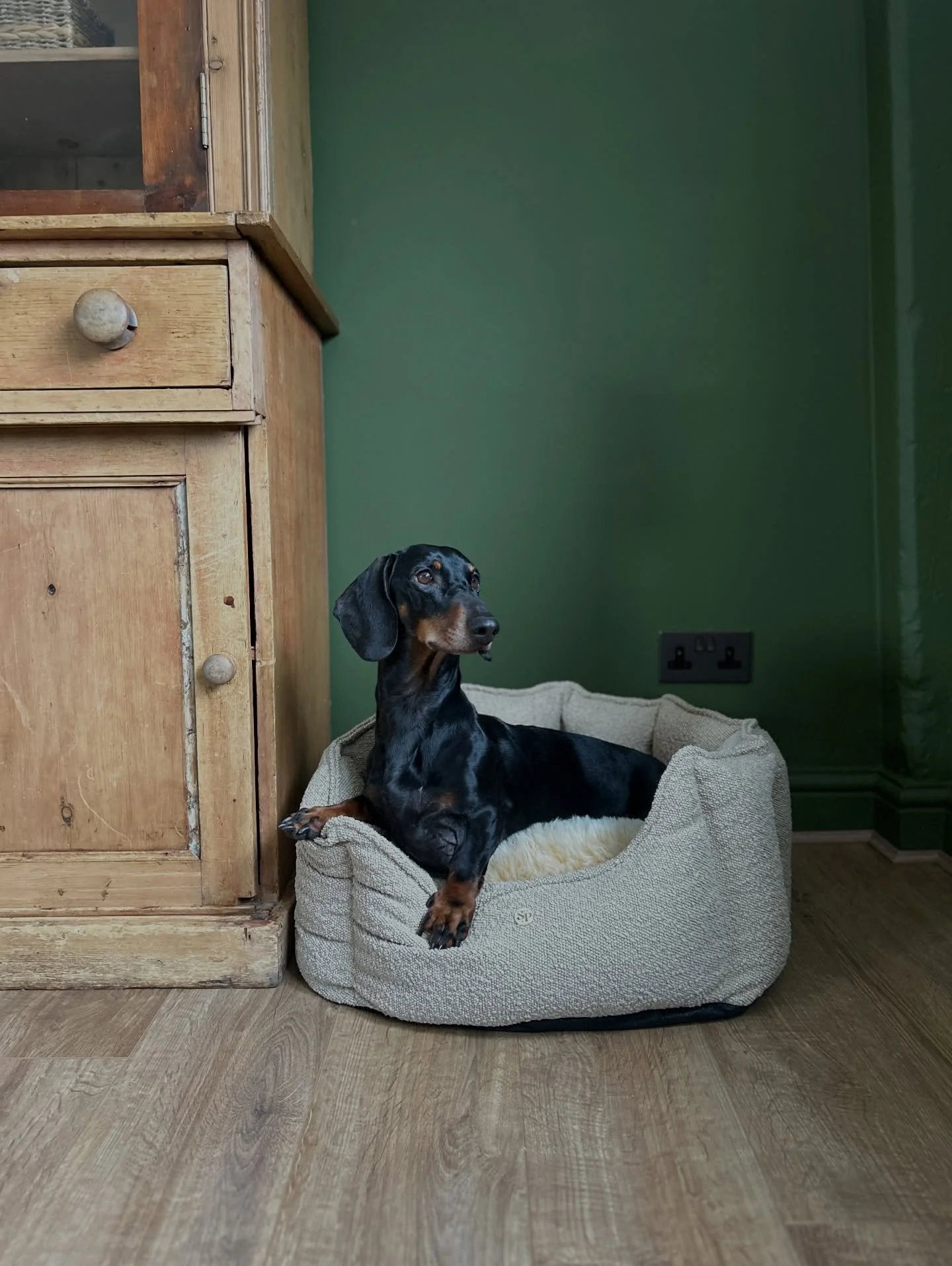 Biggest Sausage, in the smallest Cubby 🤭
.
Our first look at our newly decorated office and one of four new content spaces being built, it feels so good getting back on our feet after nearly a year! 
.
In the next few weeks we are also going to be l